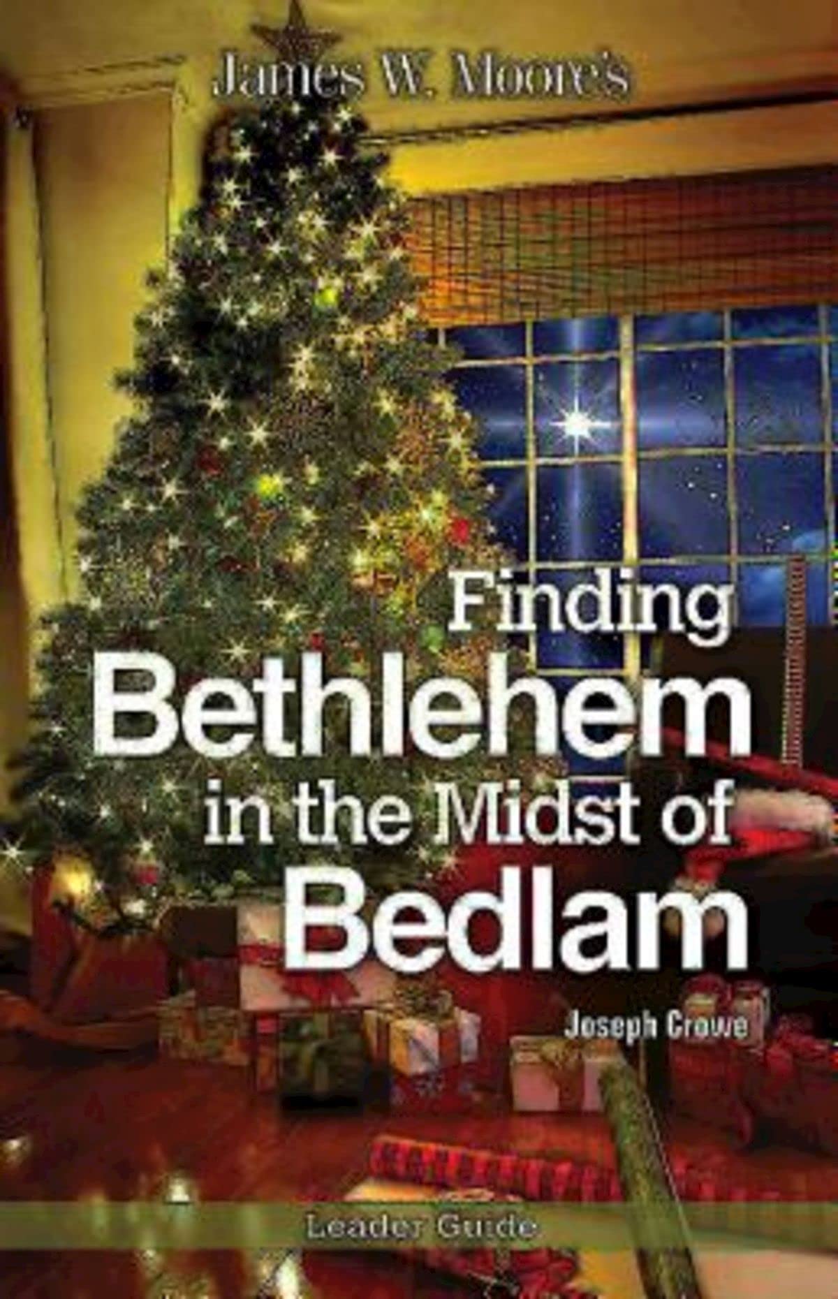 Finding Bethlehem in the Midst of Bedlam Leader Guide: An Advent Study Religion & Esotericism