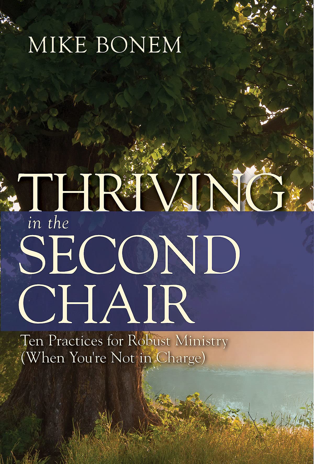 Thriving in the Second Chair: Ten Practices for Robust Ministry (When You're Not in Charge) Religion & Esotericism