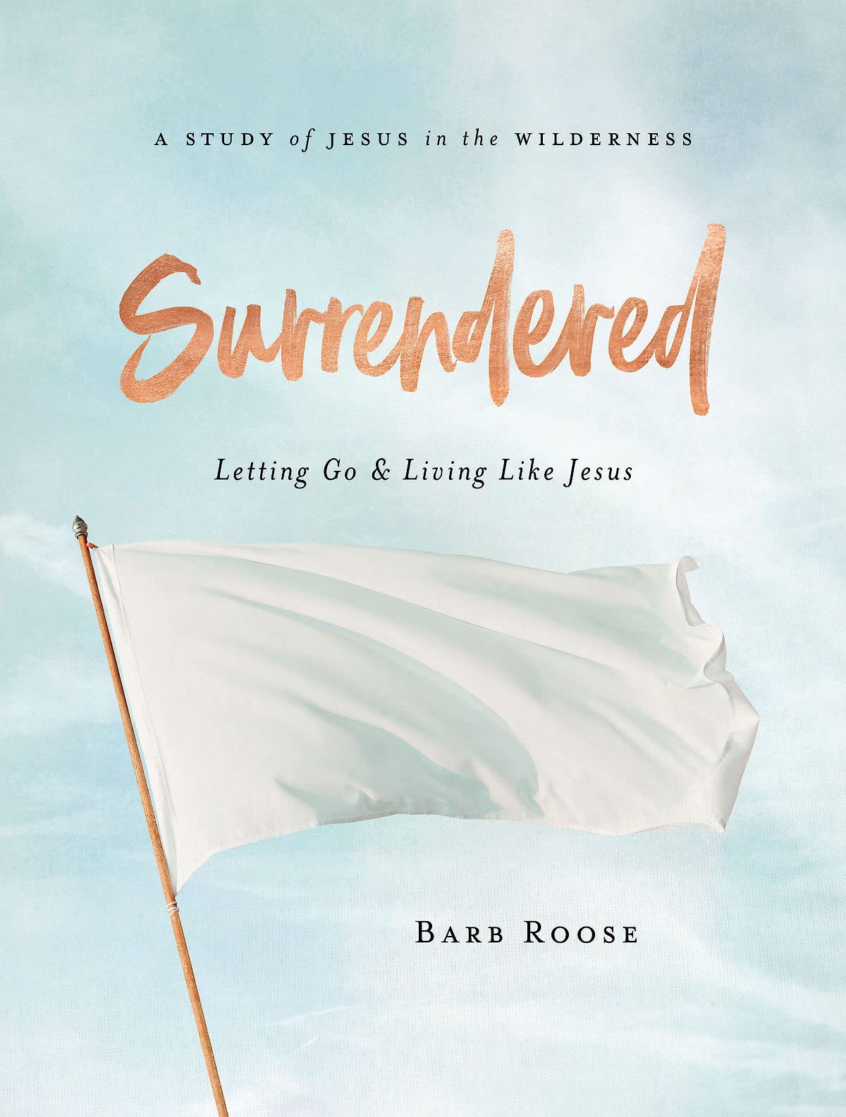 Surrendered - Women's Bible Study Participant Workbook: Letting Go and Living Like Jesus Books