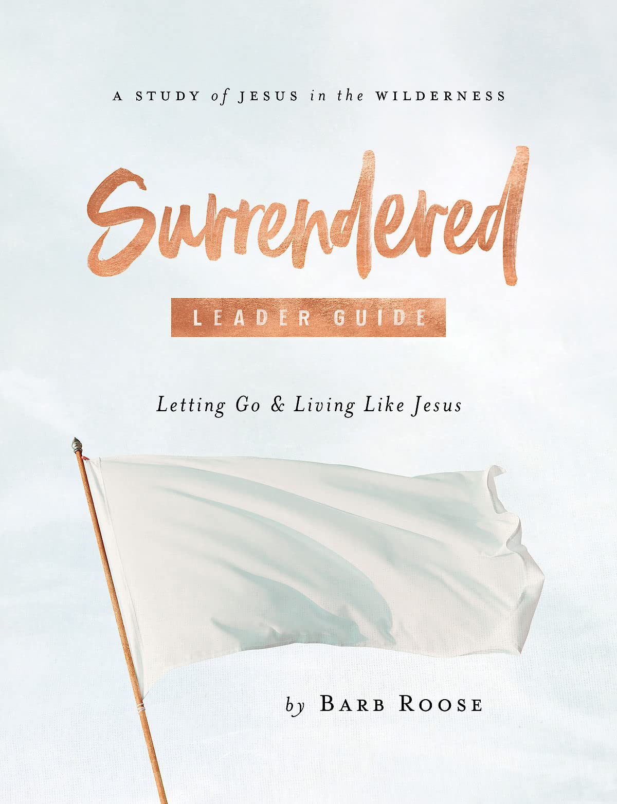 Surrendered Womens Bible Study Leader Guide: Letting Go & Living Like Jesus Books