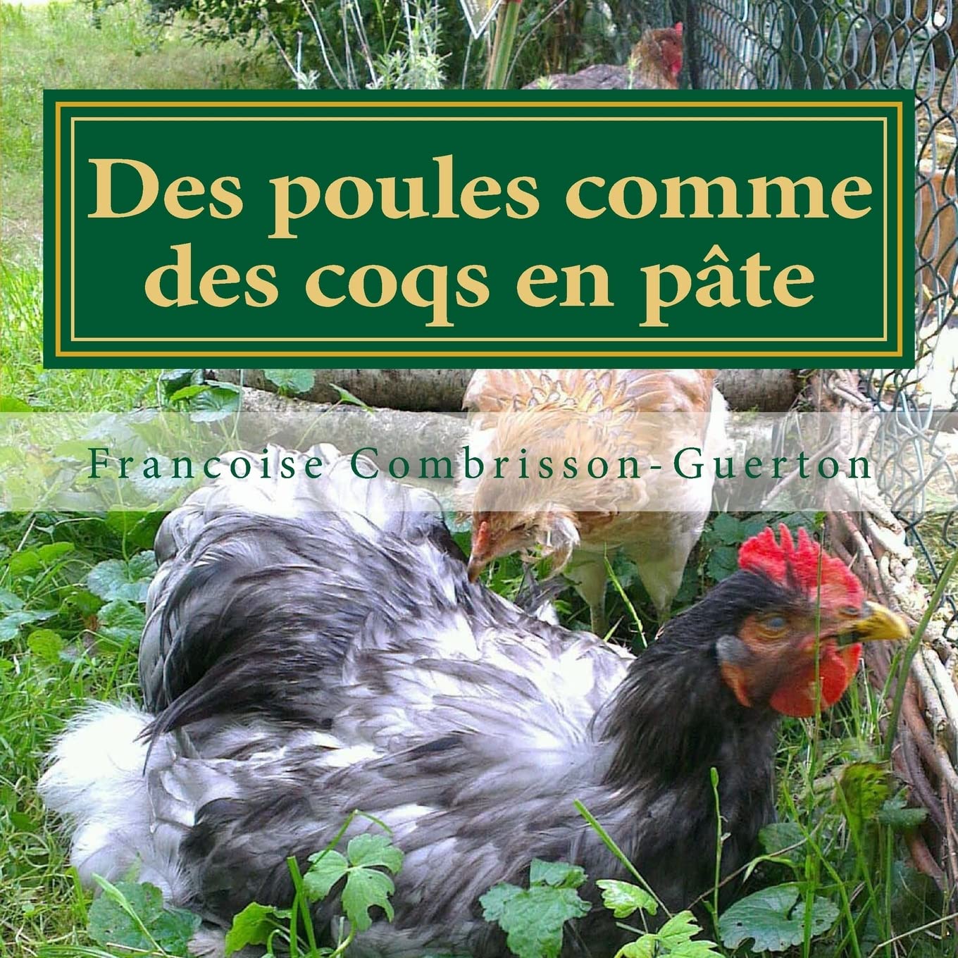 Des poules comme des coqs en pate: Elever des poules d'ornement : un hobby qui se transforme en passion book