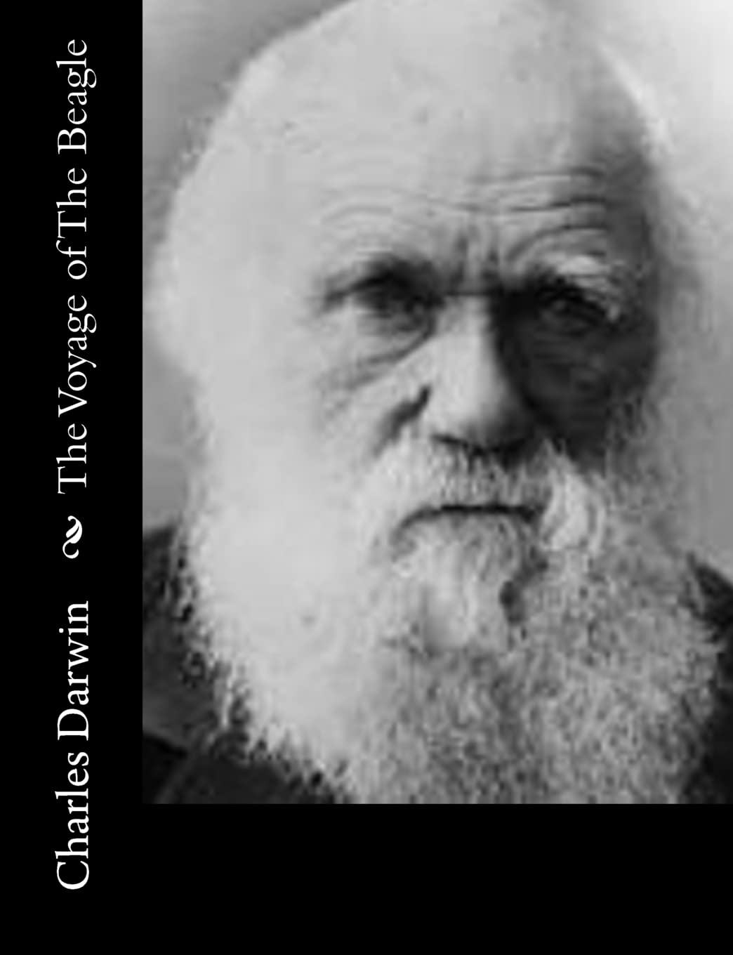 The Voyage of The Beagle Historical Fiction