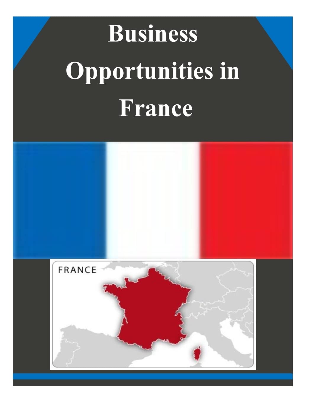Business Opportunities in France Business, Finance & Career