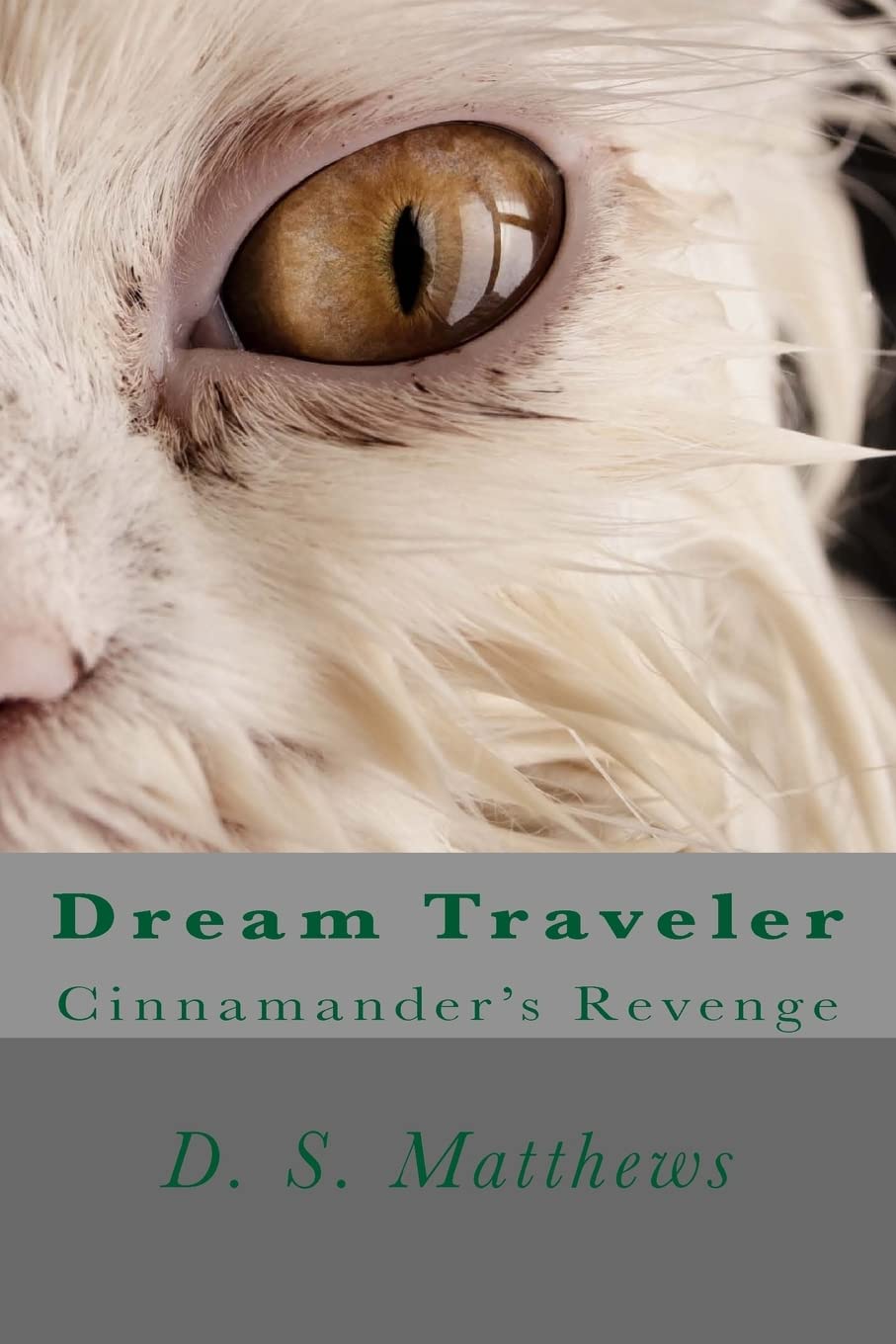 Dream Traveler: Cinnamander's Revenge Fantasy & Sci-Fi