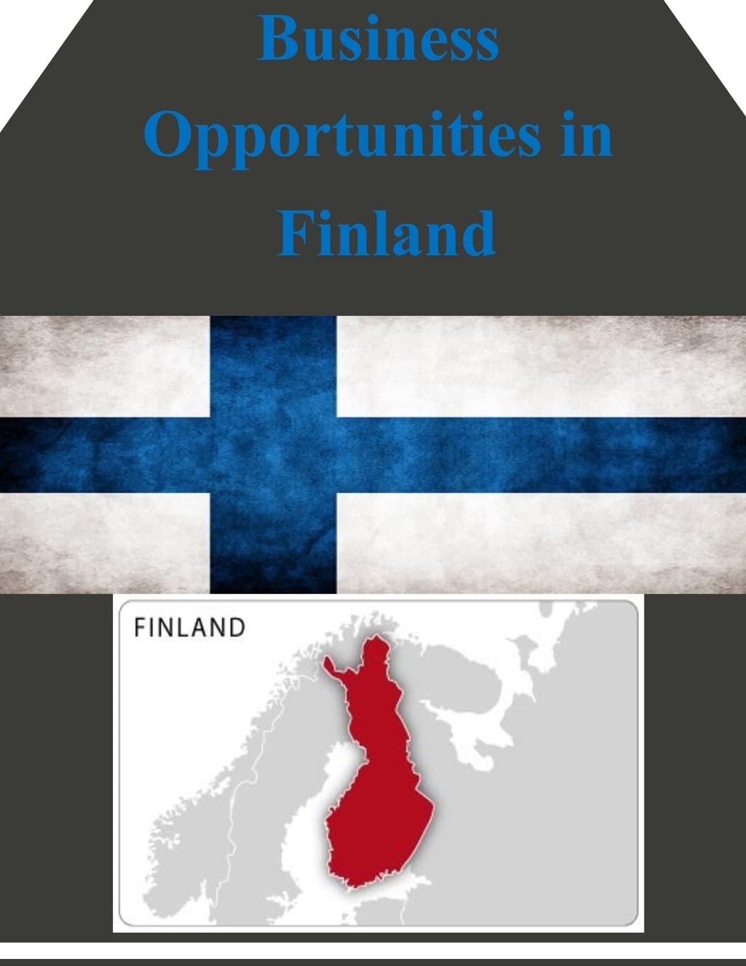 Business Opportunities in Finland Business, Finance & Career