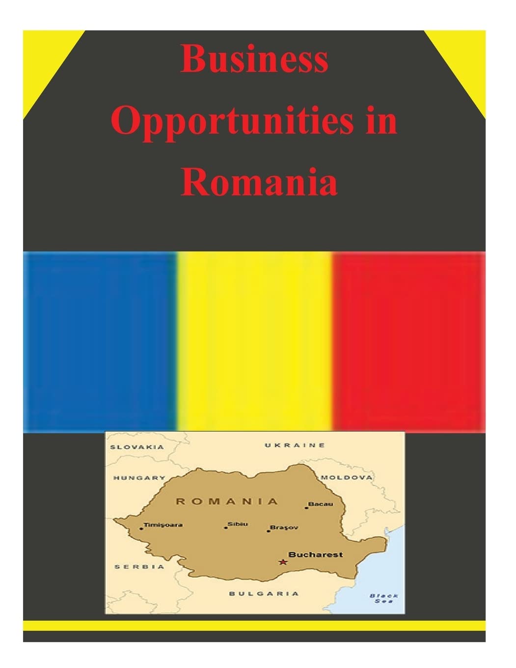 Business Opportunities in Romania Business, Finance & Career