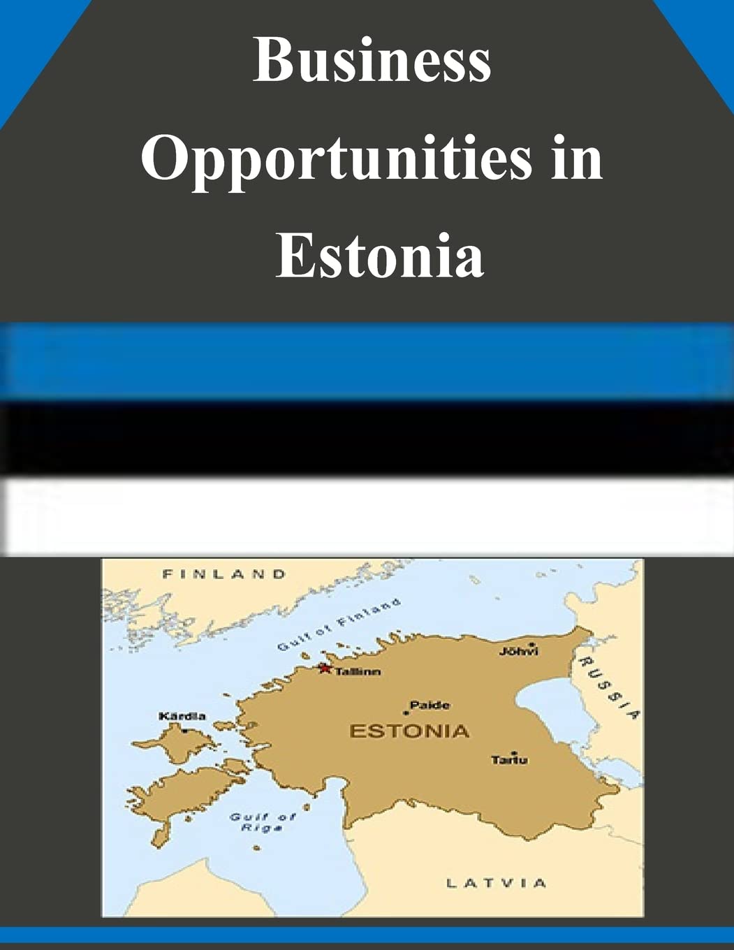 Business Opportunities in Estonia Business, Finance & Career