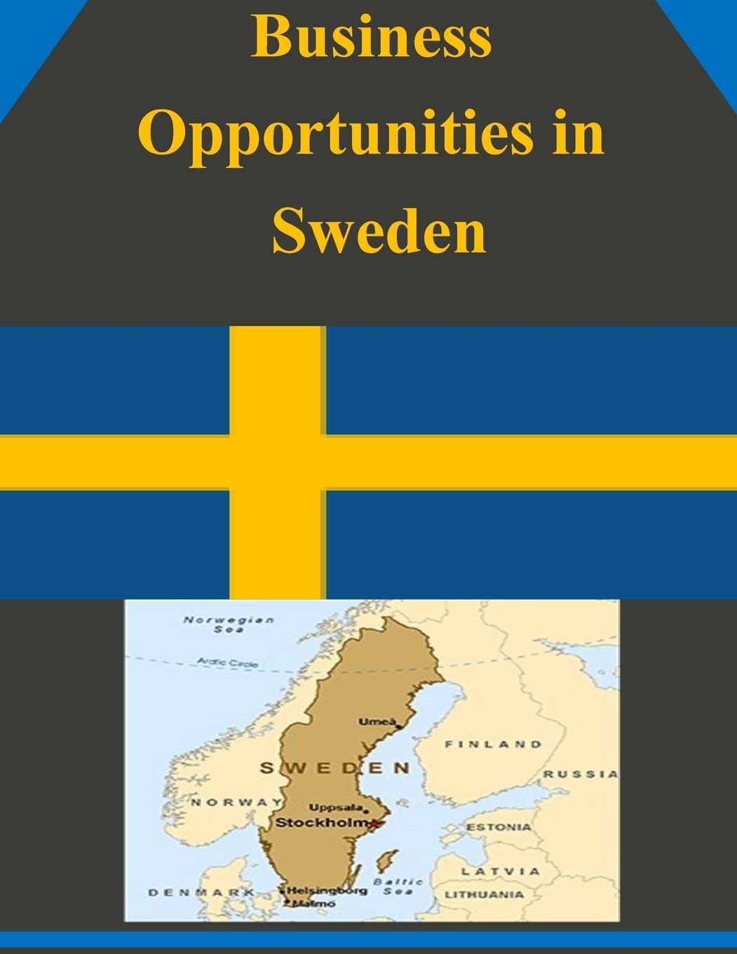 Business Opportunities in Sweden Business, Finance & Career