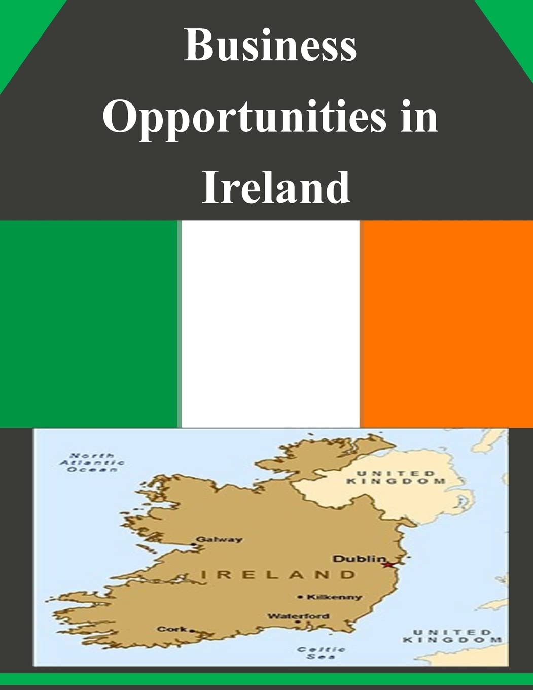 Business Opportunities in Ireland Business, Finance & Career