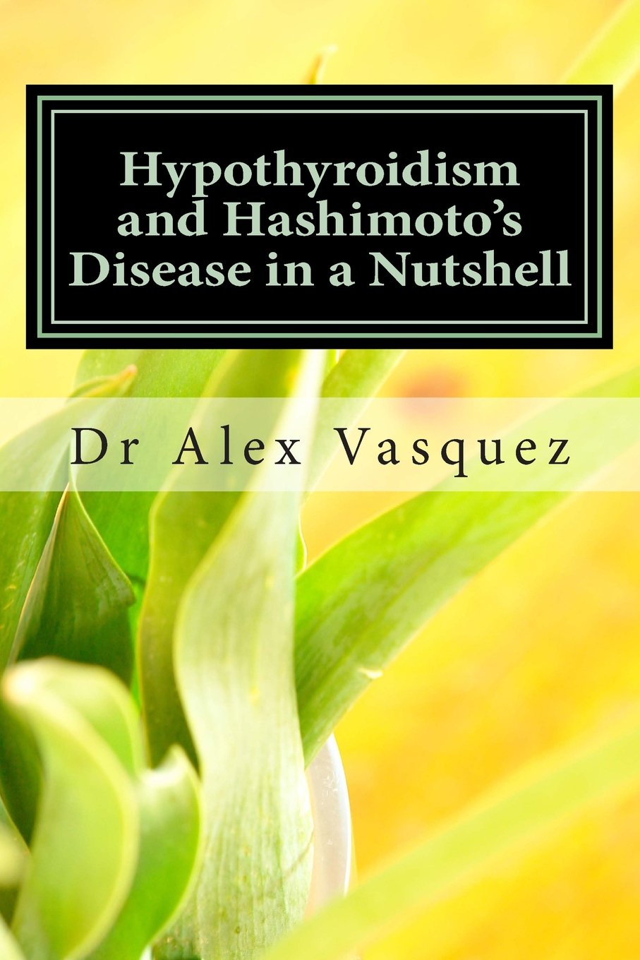 Hypothyroidism and Hashimoto's Disease in a Nutshell: New Perspectives for Doctors and Patients (Functional Inflammology, Band 1) Medicine
