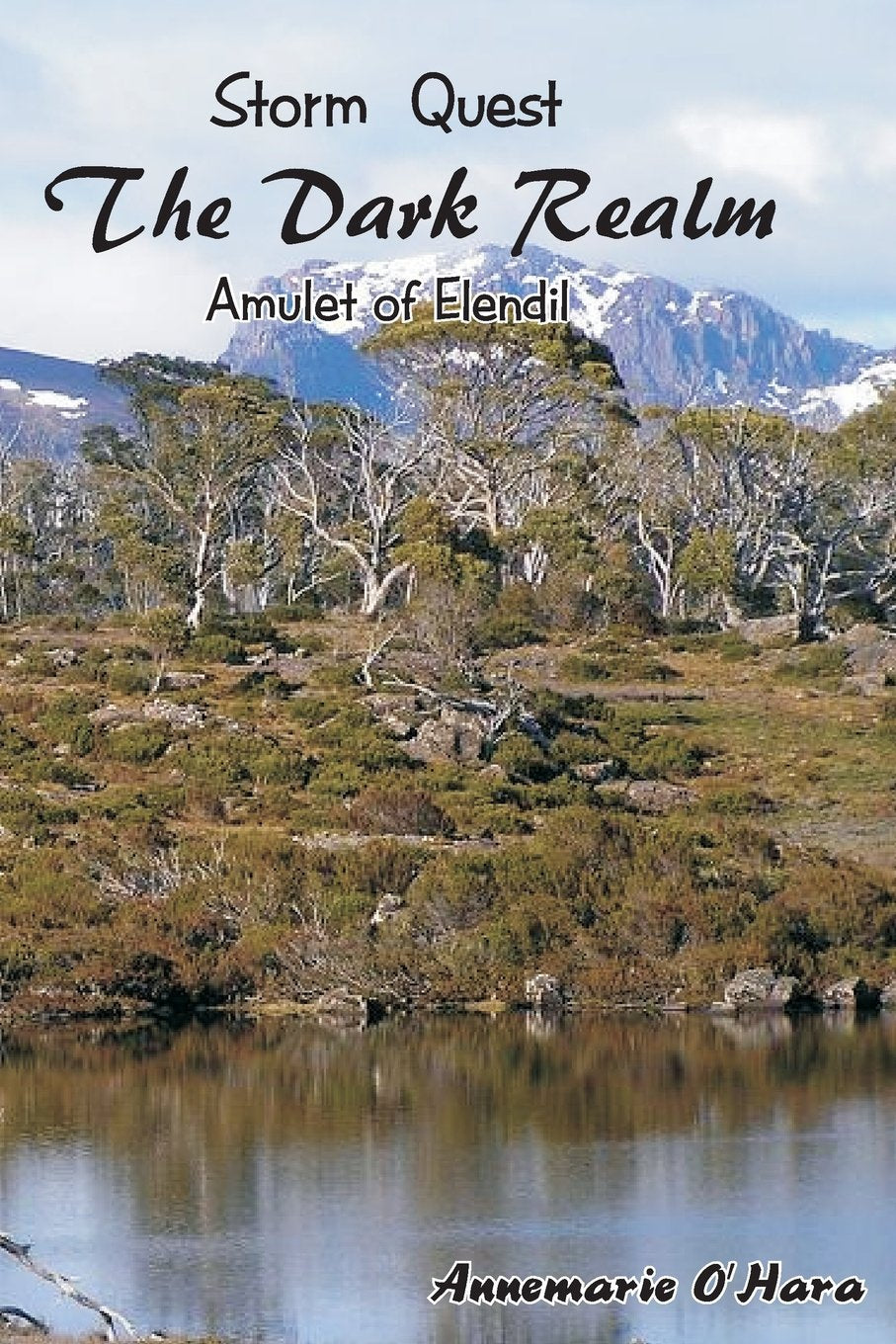 Storm Quest The Dark Realm: Amulet of Elendil (Sword of Krynne, Band 2) Action & Adventure