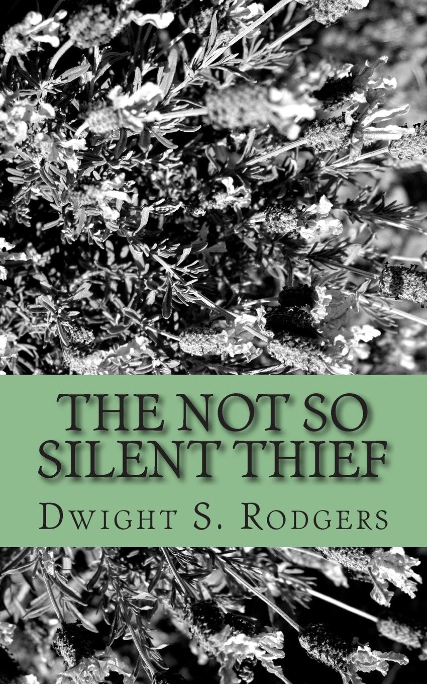The Not So Silent Thief: Becoming A Qualified Thief Stopper Religion & Esotericism
