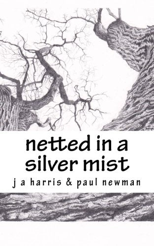 Netted in a Silver Mist Poetry