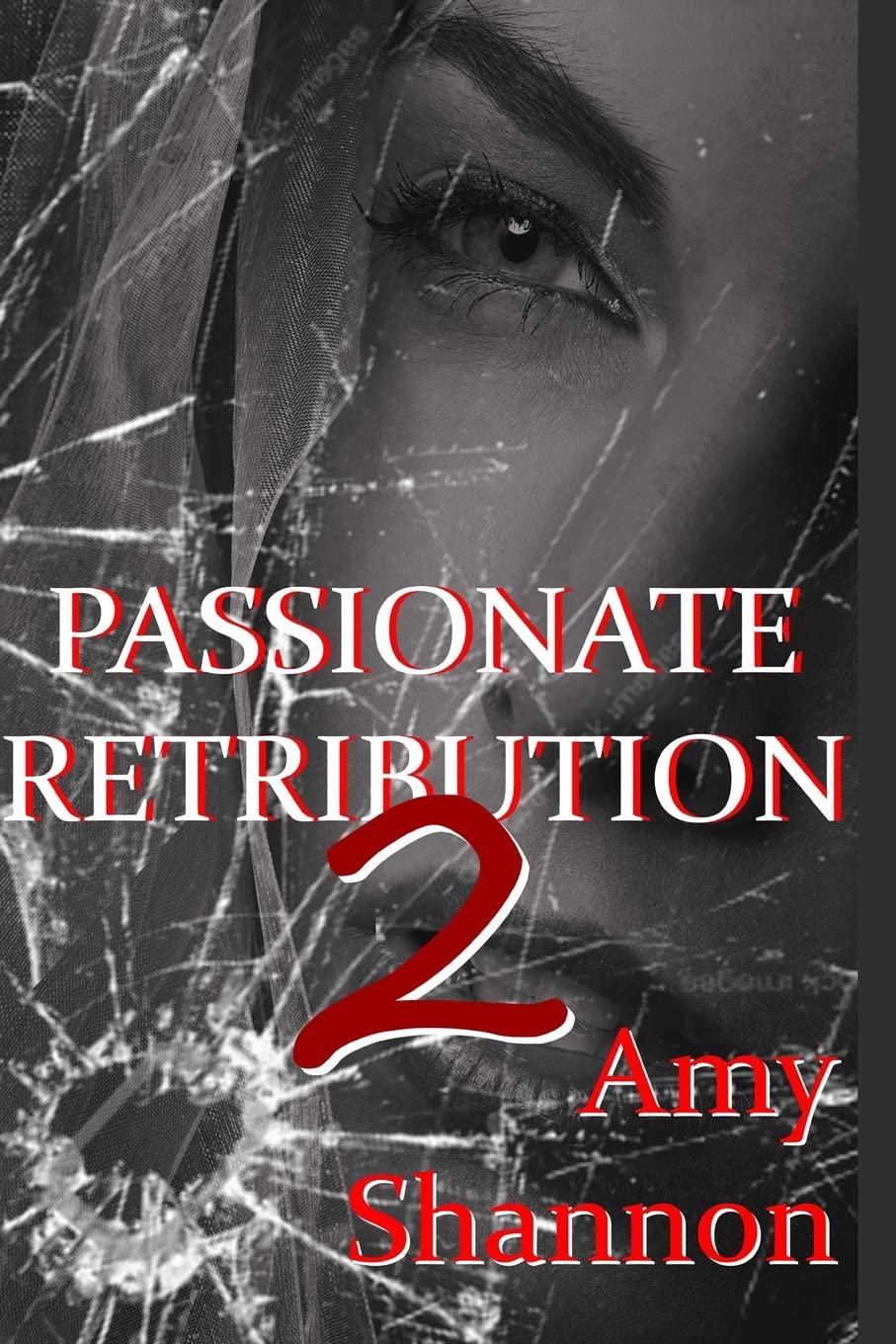 Passionate Retribution II (Private Investigators Books, Band 3) Detective & CSI