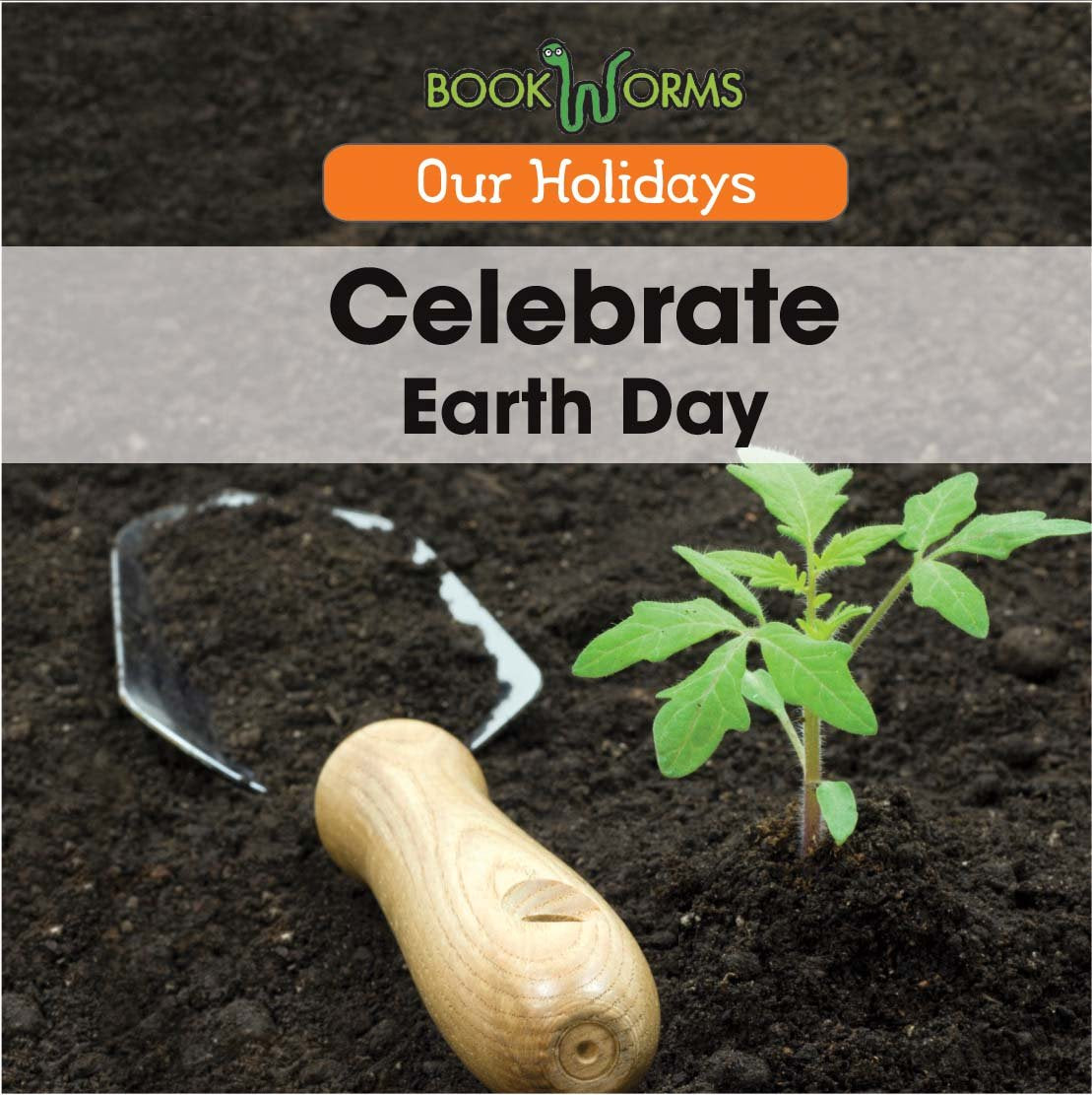 Celebrate Earth Day (Our Holidays) Non-fiction