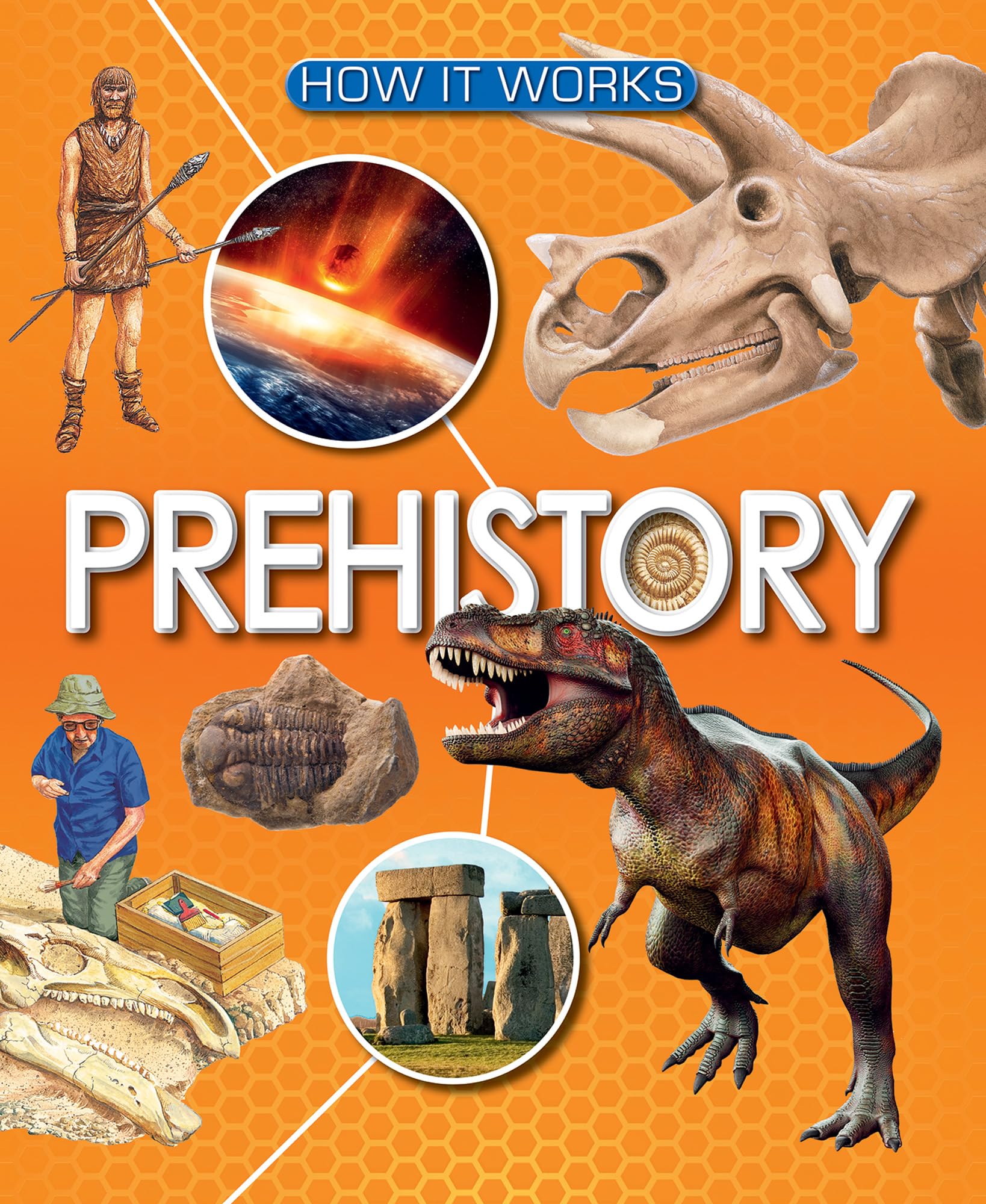 Prehistory book