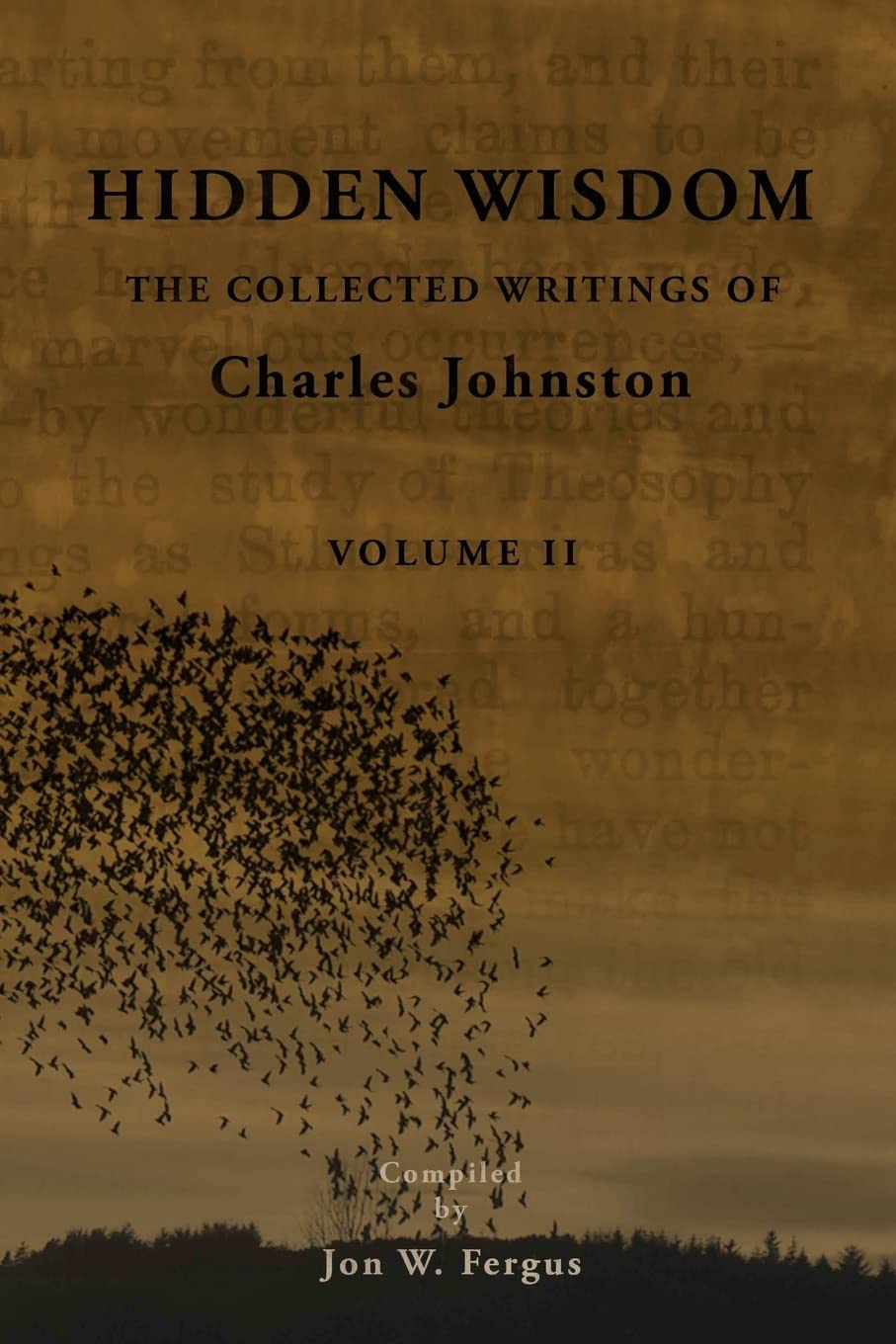 Hidden Wisdom V.2: Collected Writings of Charles Johnston (Hidden Wisdom: Collected Writings of Charles Johnston, Band 2) Religion & Esotericism
