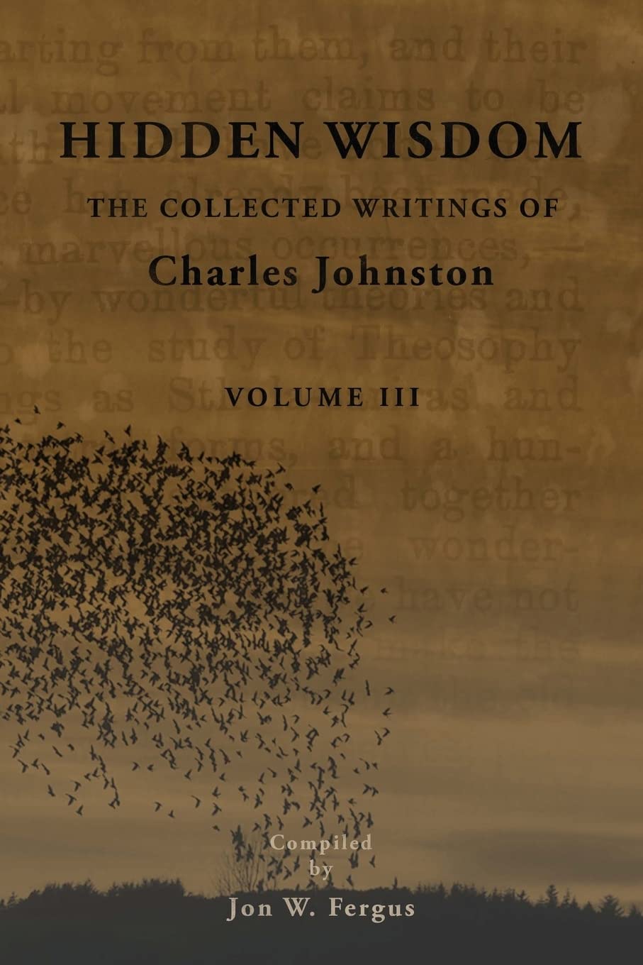 Hidden Wisdom V.3: Collected Writings of Charles Johnston (Hidden Wisdom: Collected Writings of Charles Johnston, Band 3) Religion & Esotericism