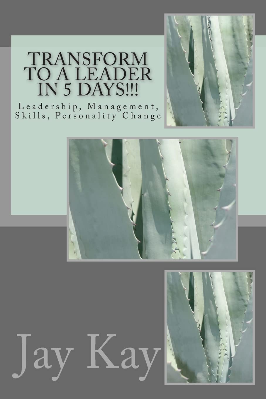 Transform to a Leader in 5 Days!!!: Leadership, Management, Skills, Personality Change Lifestyle
