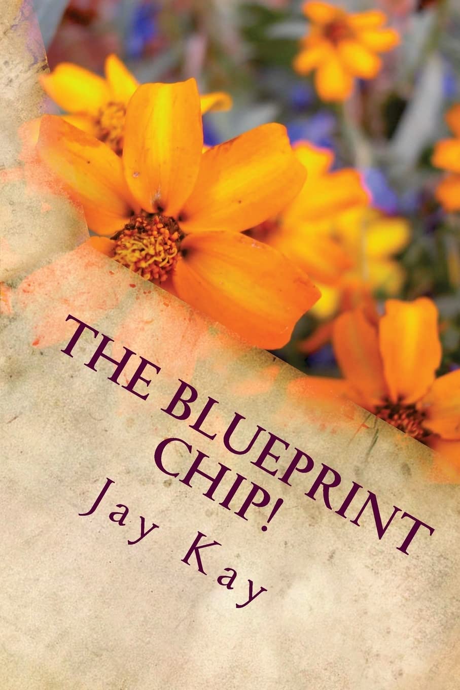 The Blueprint Chip!: Adventure, Action, Thriller Action & Adventure