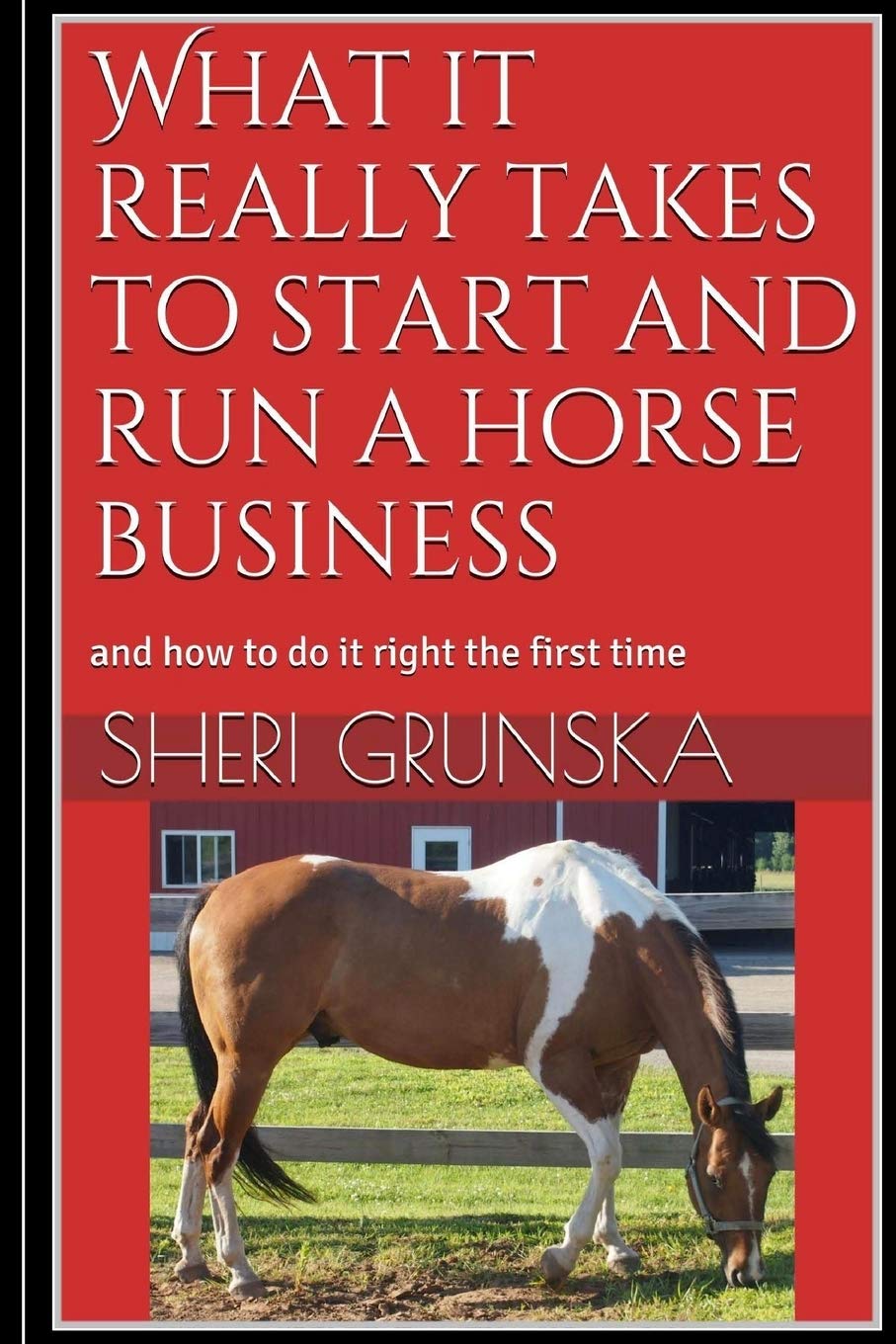 What it really takes to start and run a horse business: and how to do it right the first time book