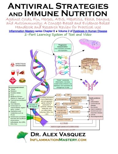 Antiviral Strategies and Immune Nutrition: Against Colds, Flu, Herpes, AIDS, Hepatitis, Ebola, and Autoimmunity: A Concept-Based and Evidence-Based ... Use (Dysbiosis in Human Disease, Band 2) Medicine