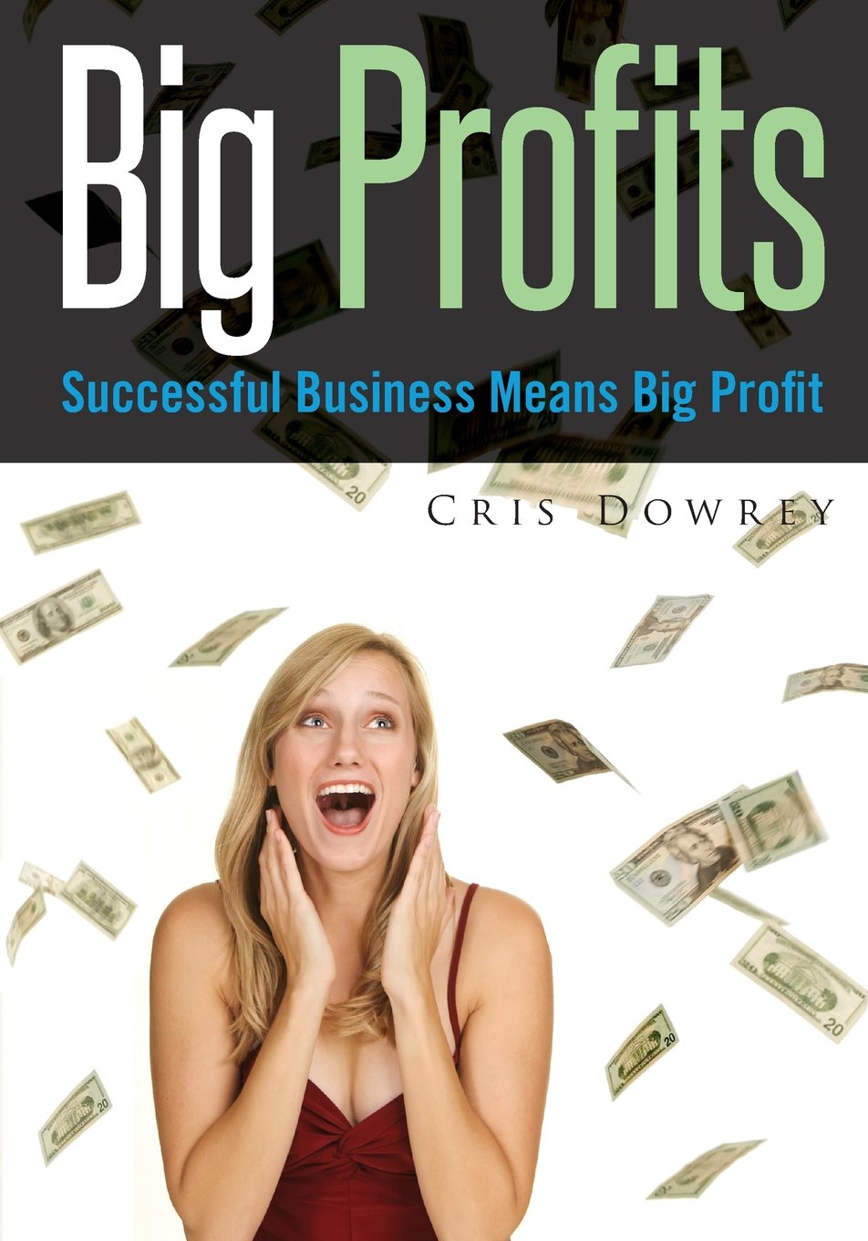 Big Profits: Successful Business Means Big Profit Business, Finance & Career