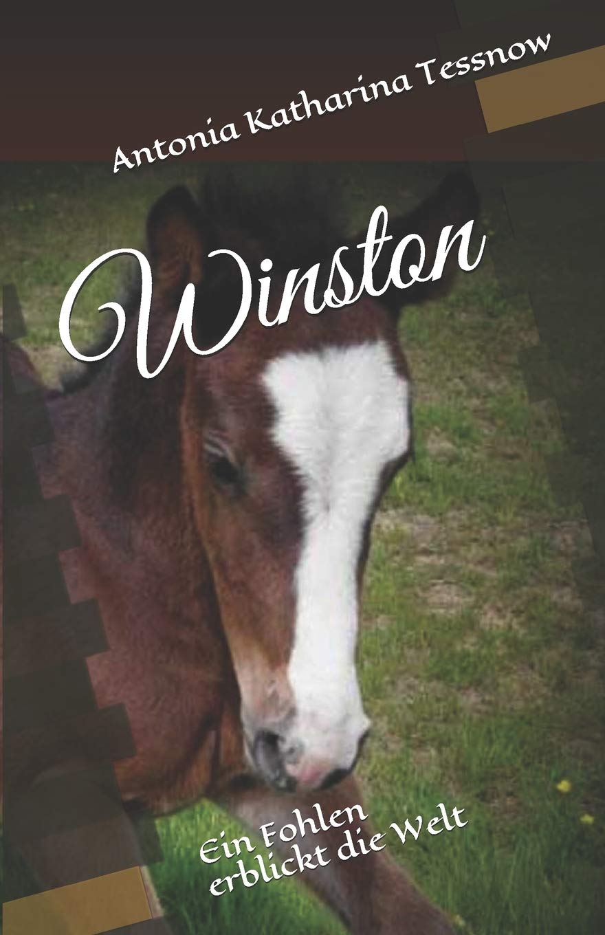 Winston: Ein Fohlen erblickt die Welt Pets