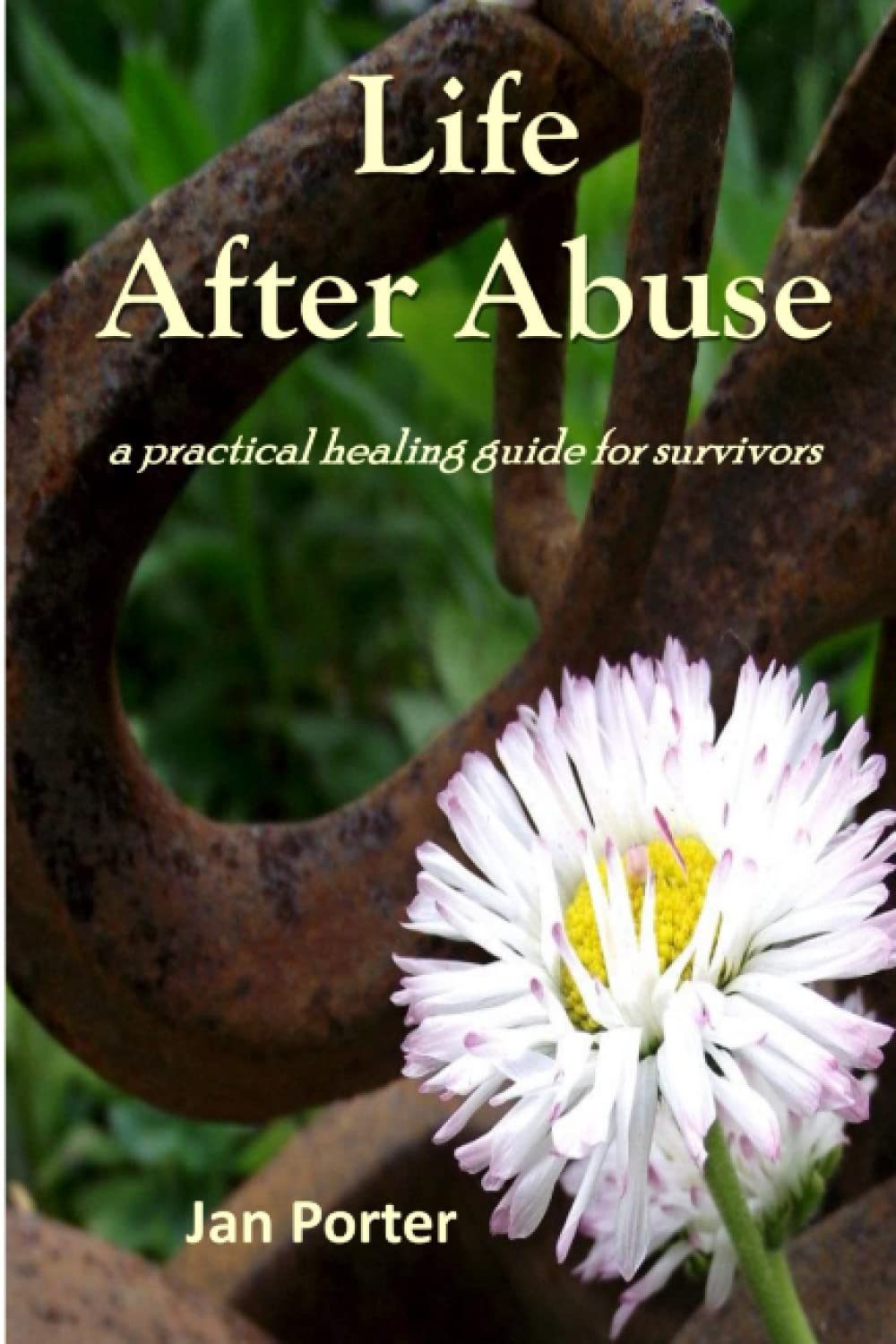 Product Image: Life After Abuse, a practical healing guide for survivors