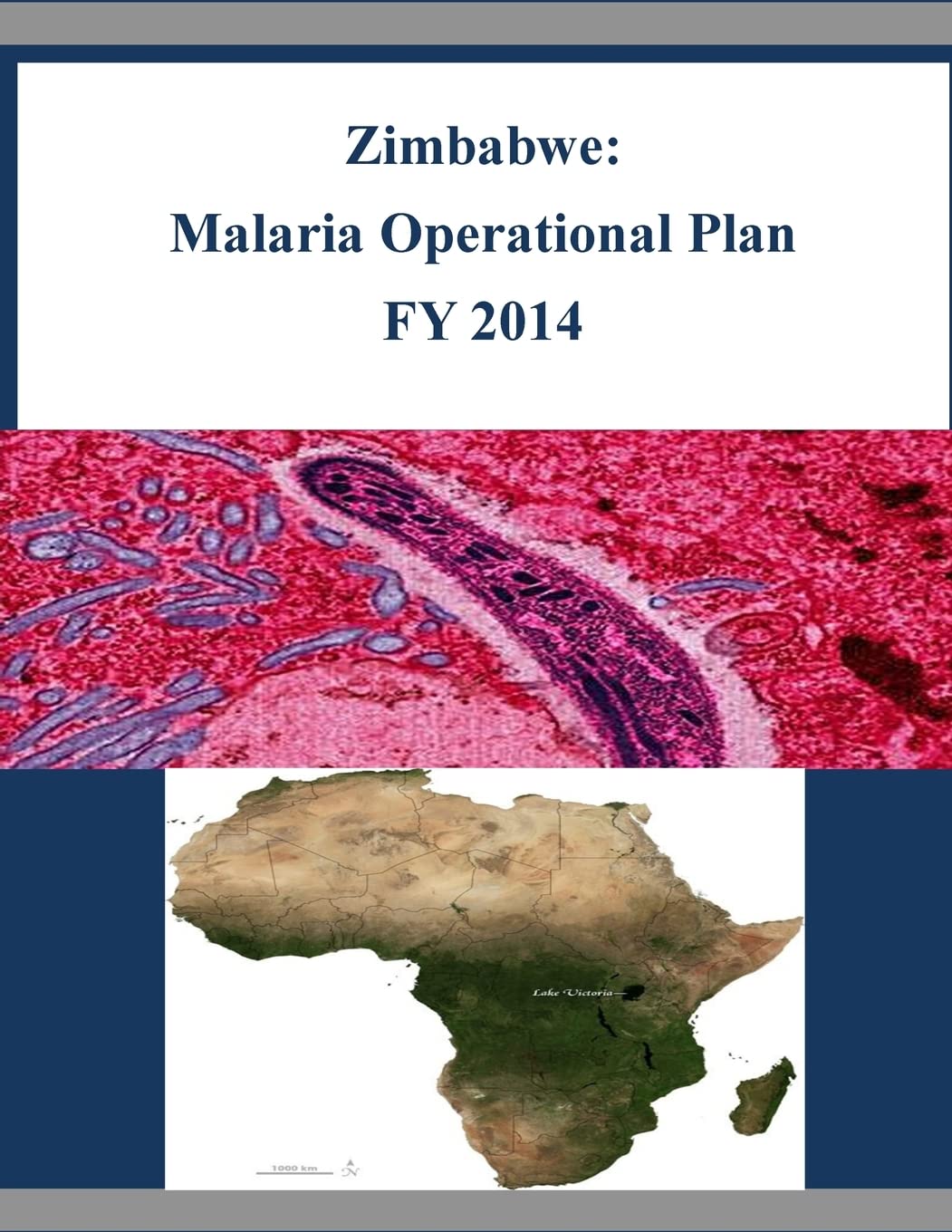 Zimbabwe: Malaria Operational Plan FY 2014 Politics & History