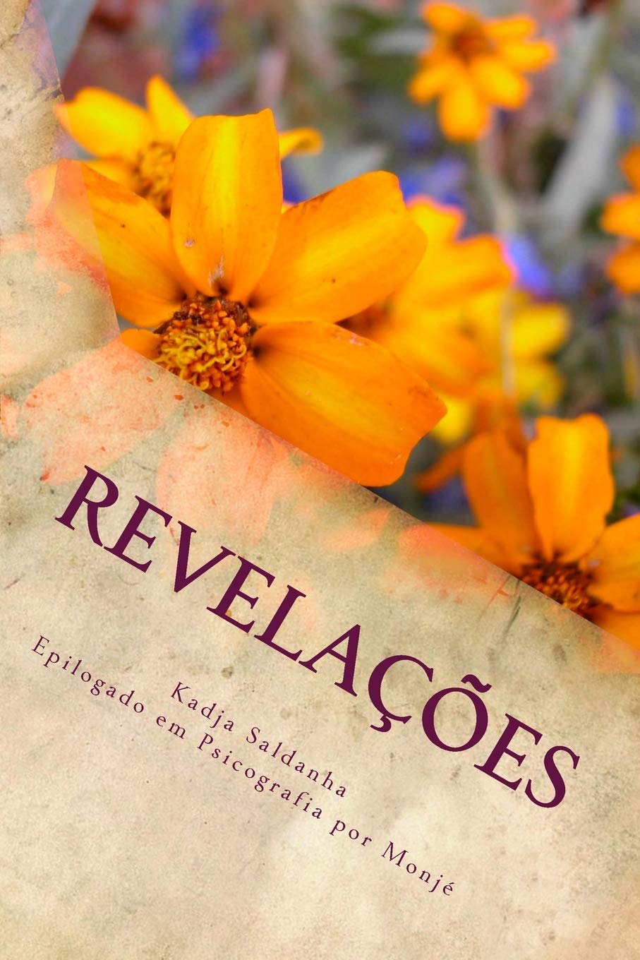 Revelações: Primeiro Romance Espiritual book