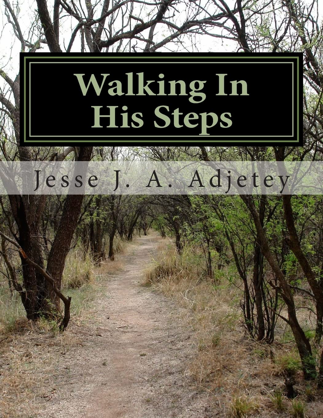 Walking In His Steps: Make the Rest Of Your Days The Best Of Your Days Religion & Esotericism