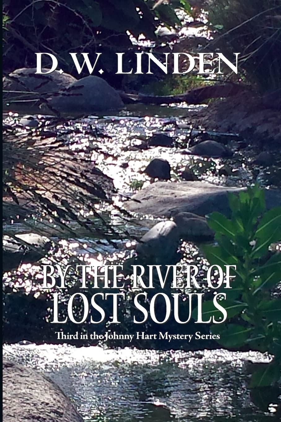 By the River of Lost Souls: A Johnny Hart Mystery book