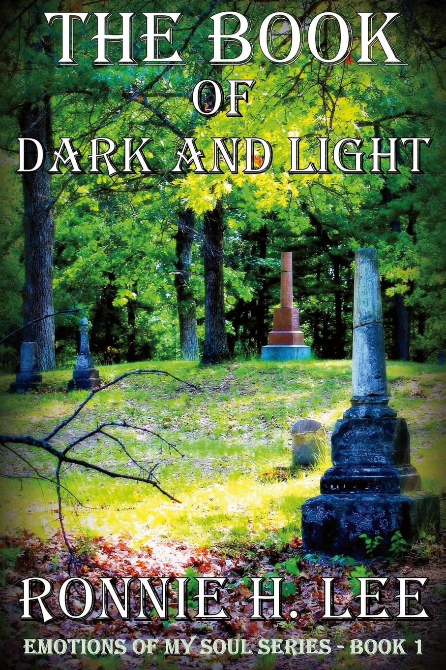 The Book of Dark and Light (Emotions of my Soul series, Band 1) Poetry