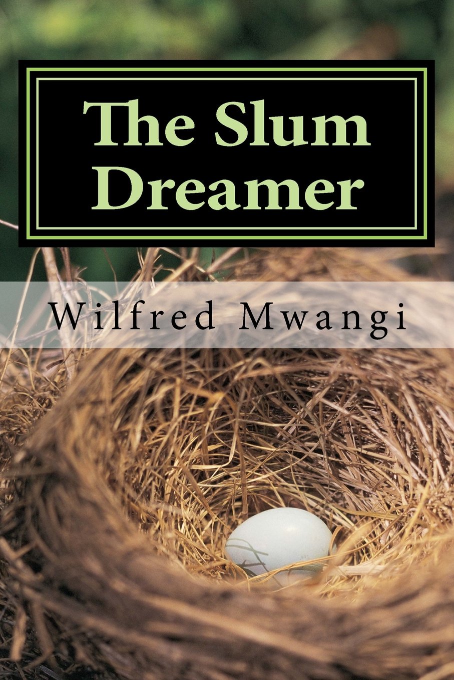 The Slum Dreamer Memories