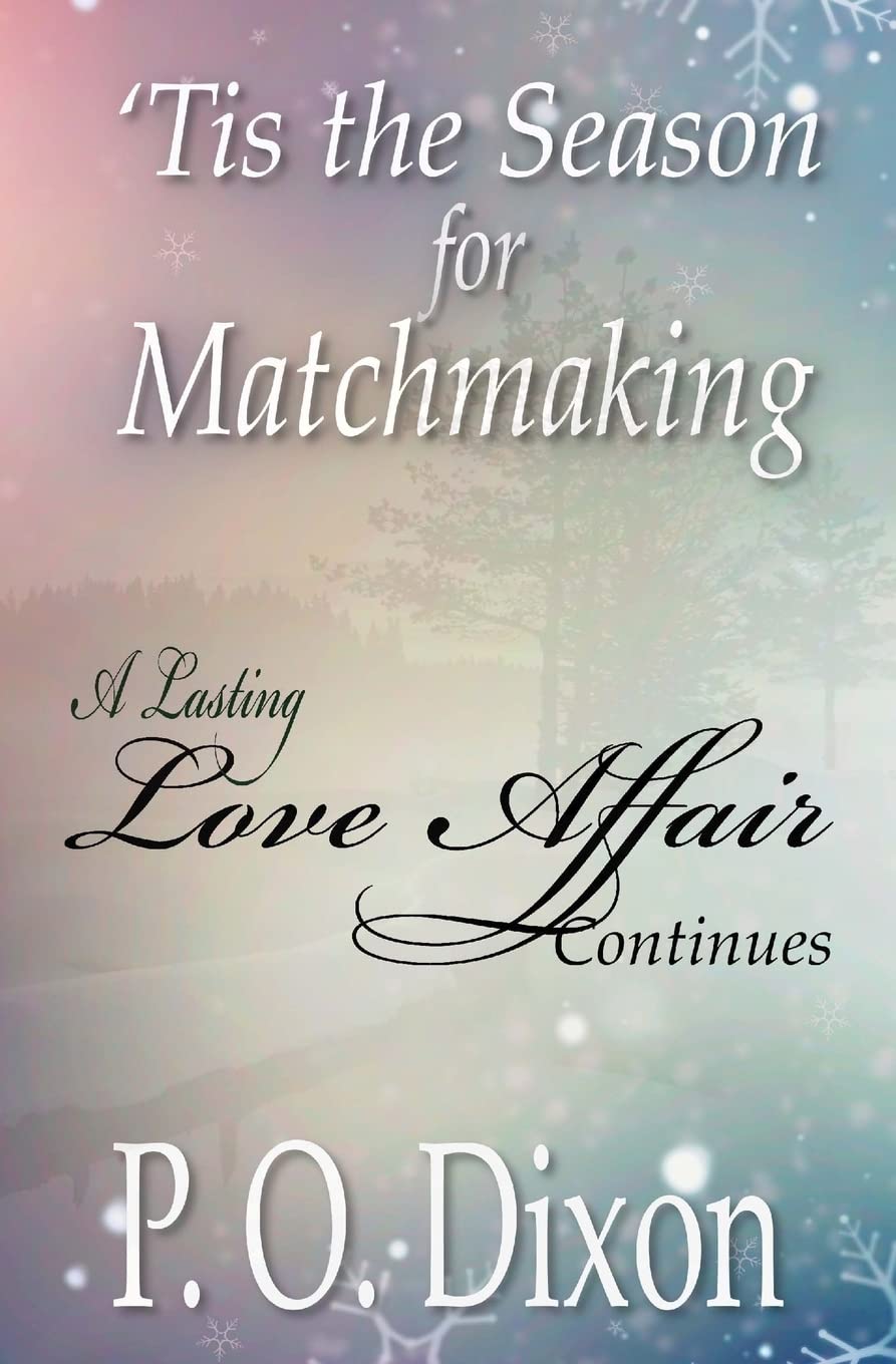 'Tis the Season for Matchmaking: A Lasting Love Affair Continues (Pride and Prejudice Variations, Band 2) Historical Fiction