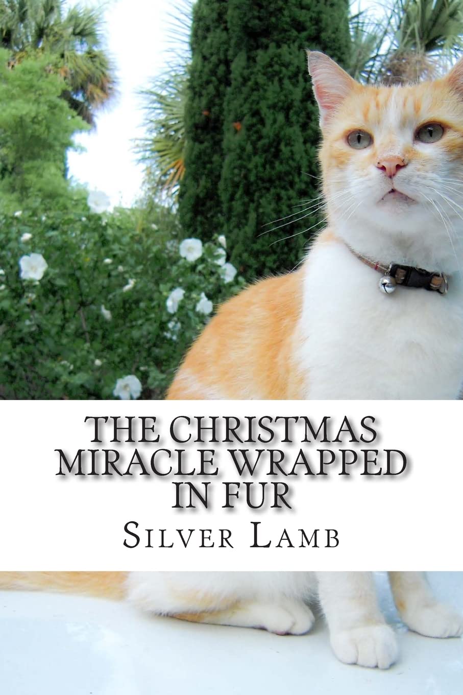 The Christmas Miracle Wrapped in Fur: Mr. Scruffy Pants Has an Adventure Contemporary literature