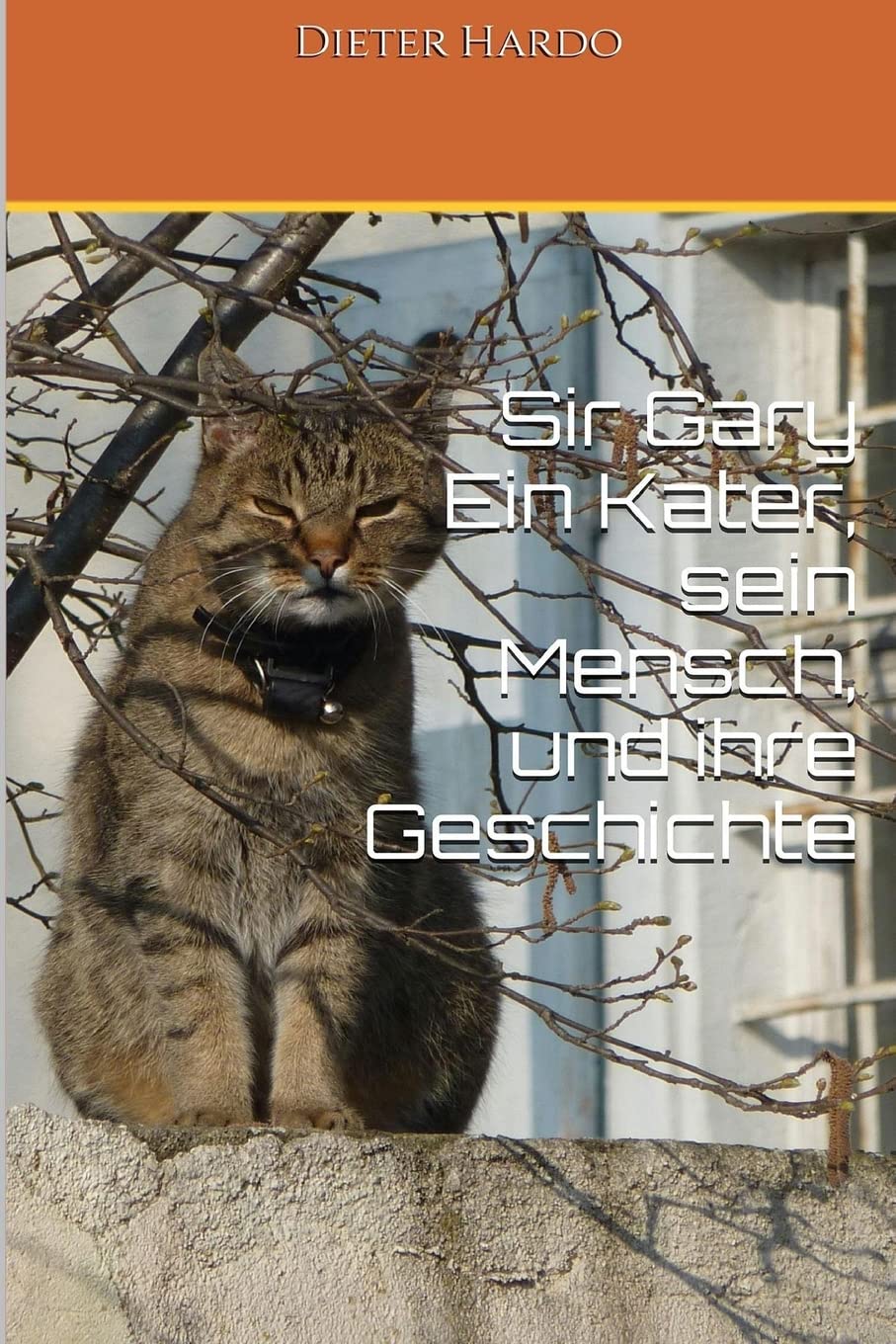 Sir Gary - Ein Kater, sein Mensch und ihre Geschichte Pets