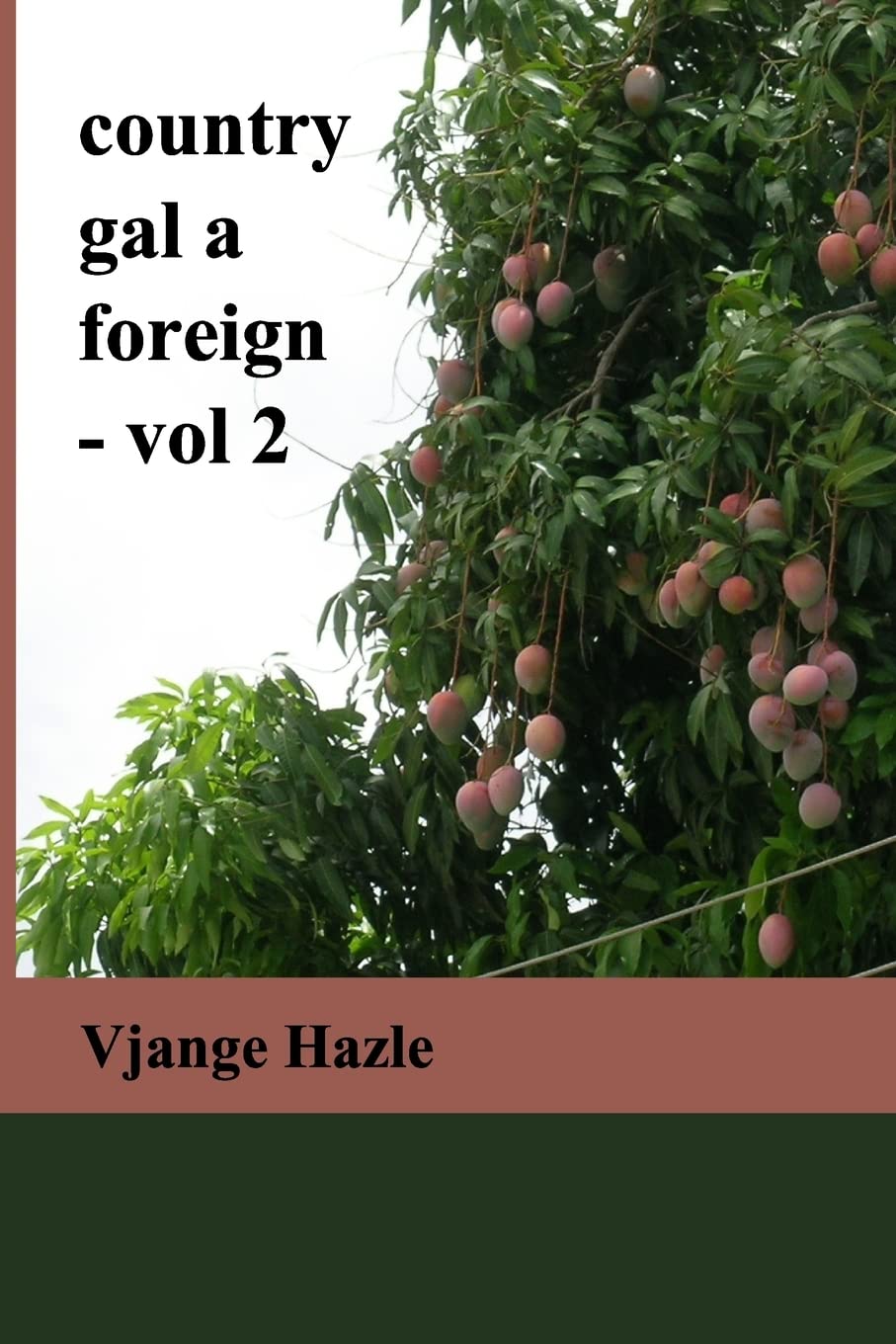 country gal a foreign-vol. 2 Contemporary literature