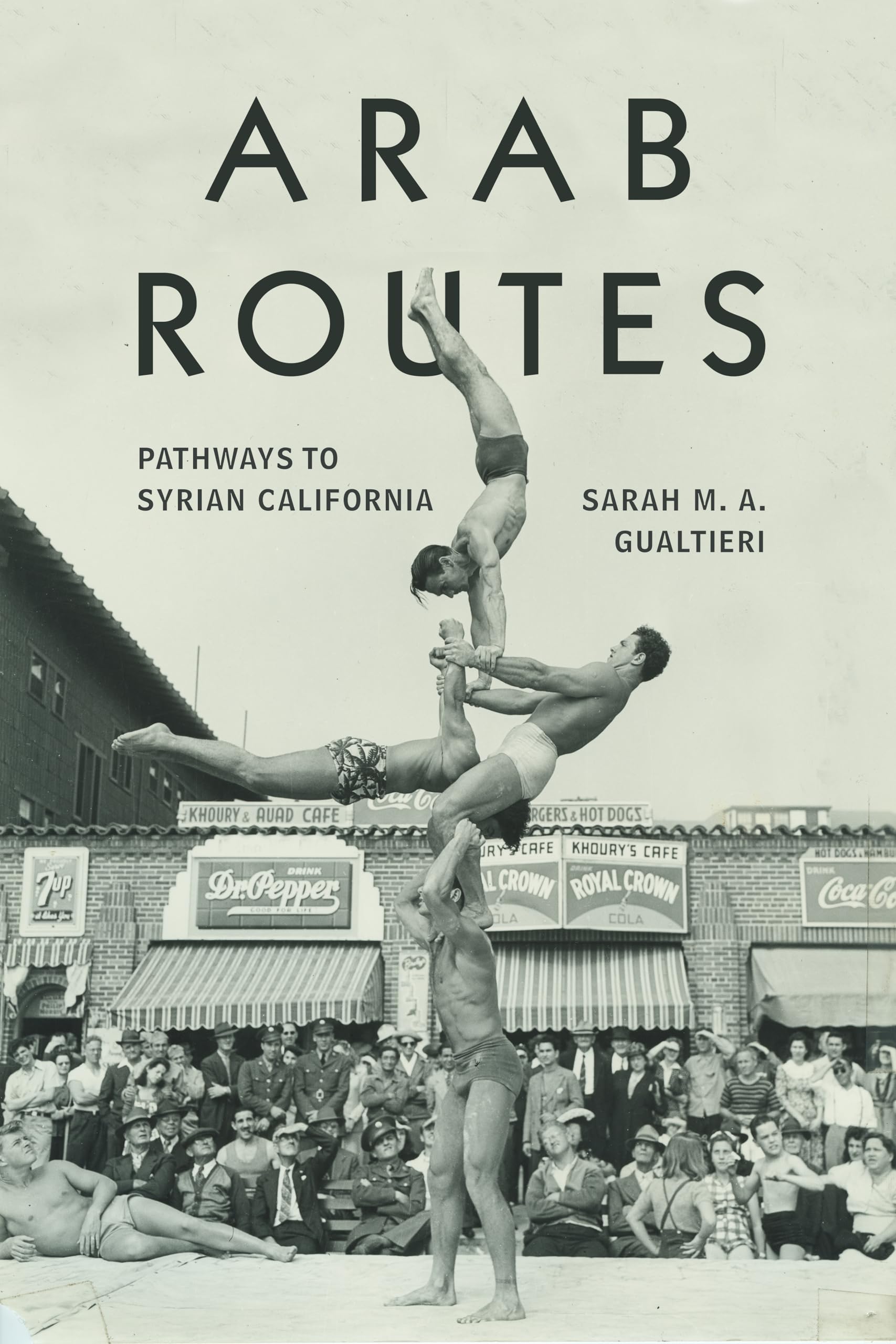 Arab Routes: Pathways to Syrian California (Stanford Studies in Comparative Race and Ethnicity) General education