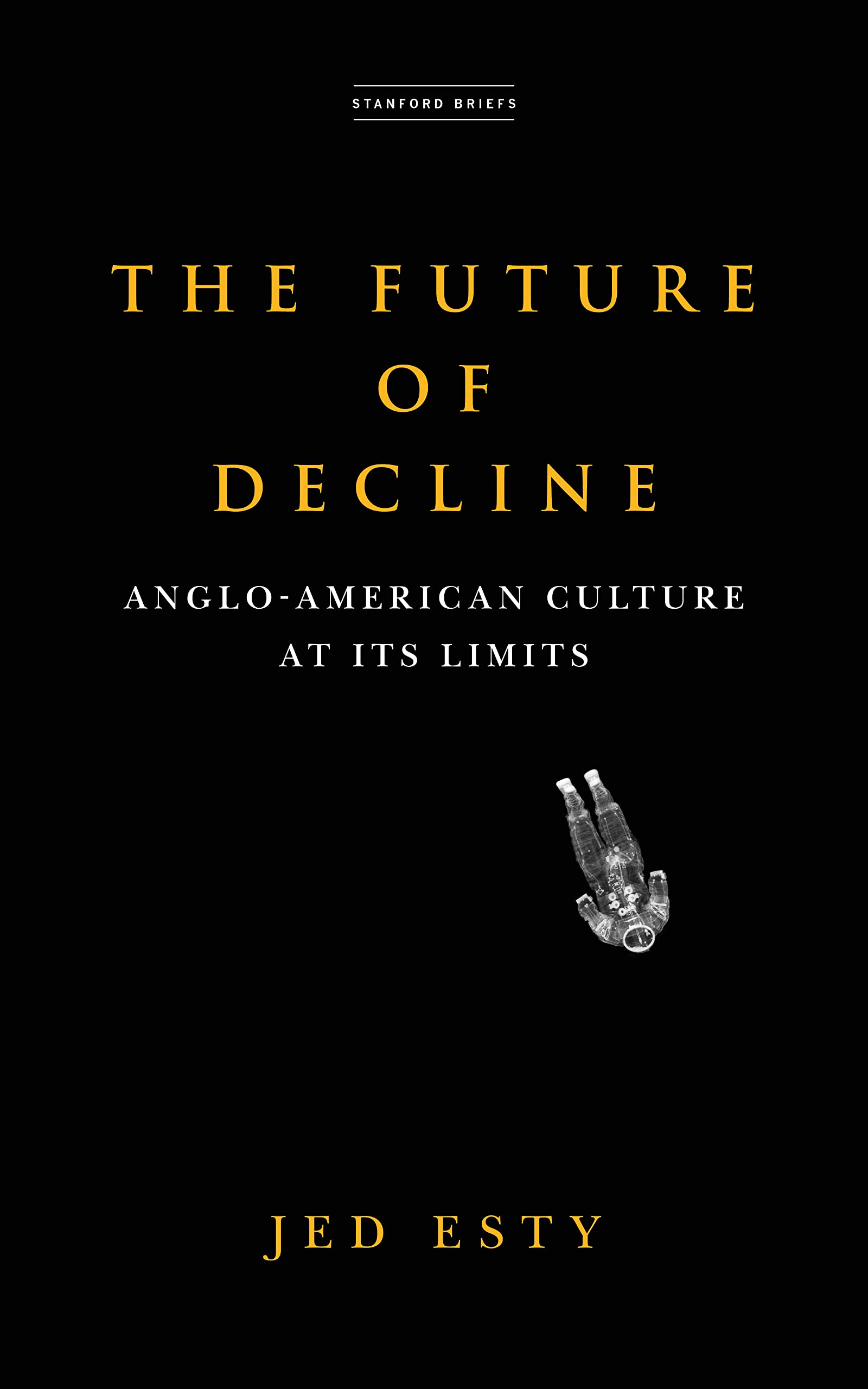 The Future of Decline: Anglo-American Culture at Its Limits book