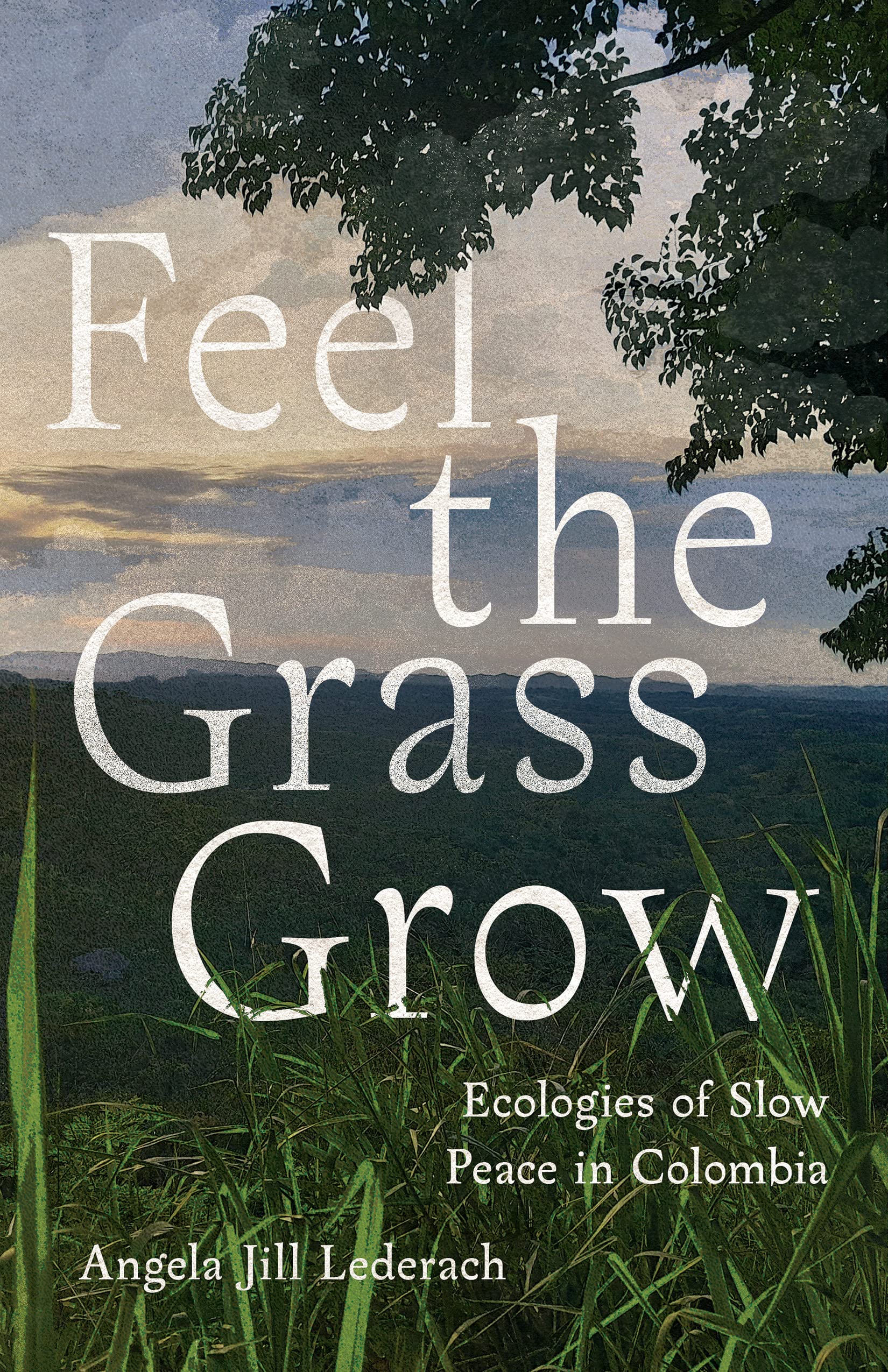Feel the Grass Grow: Ecologies of Slow Peace in Colombia Social Sciences