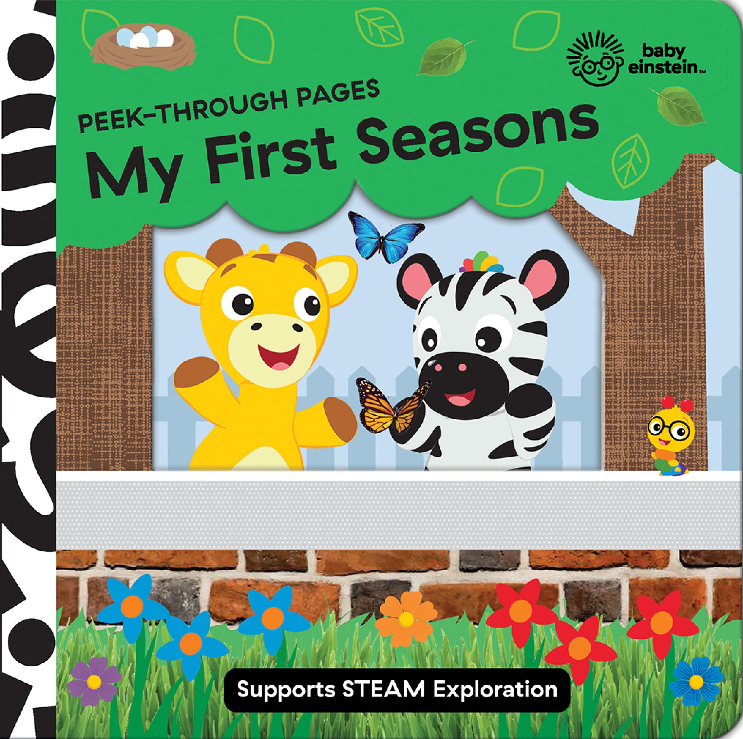 Baby Einstein Peek Through Pages My First Seasons Novelty Board Book Non-fiction