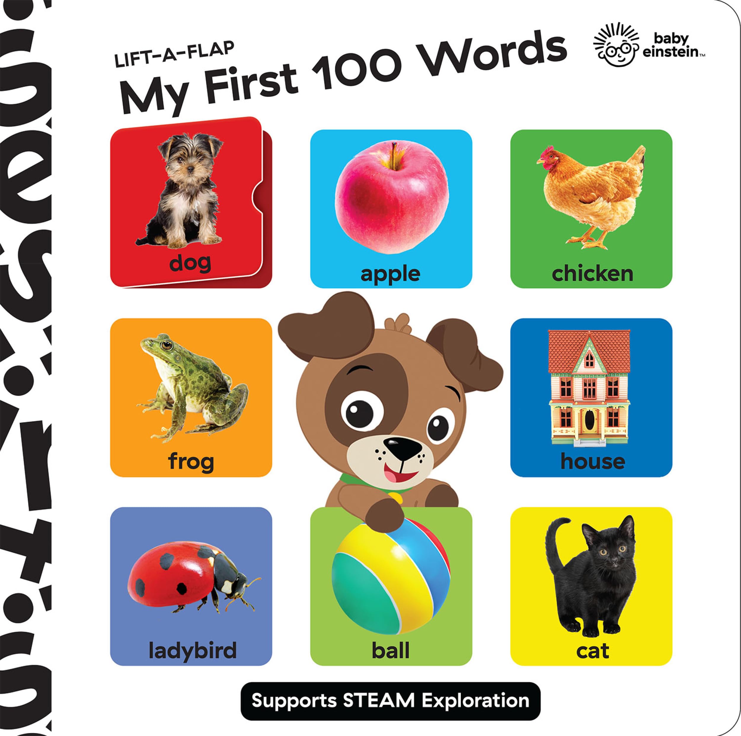 Baby Einstein Lift A Flap My First 100 Words Novelty Board Book book