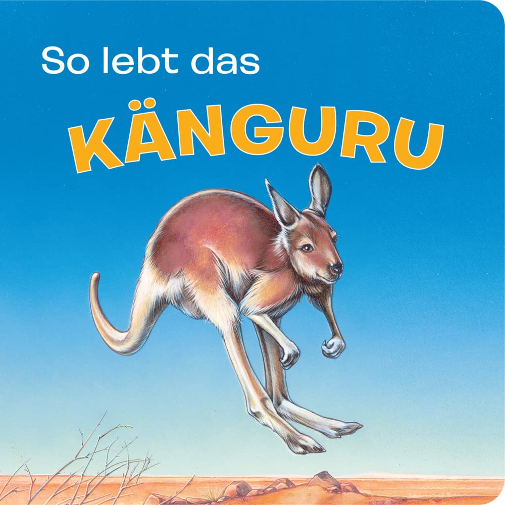 Tierkindergeschichten - So lebt das Känguru - Pappbilderbuch mit farbigen Illustrationen für Kinder ab 18 Monaten Non-fiction