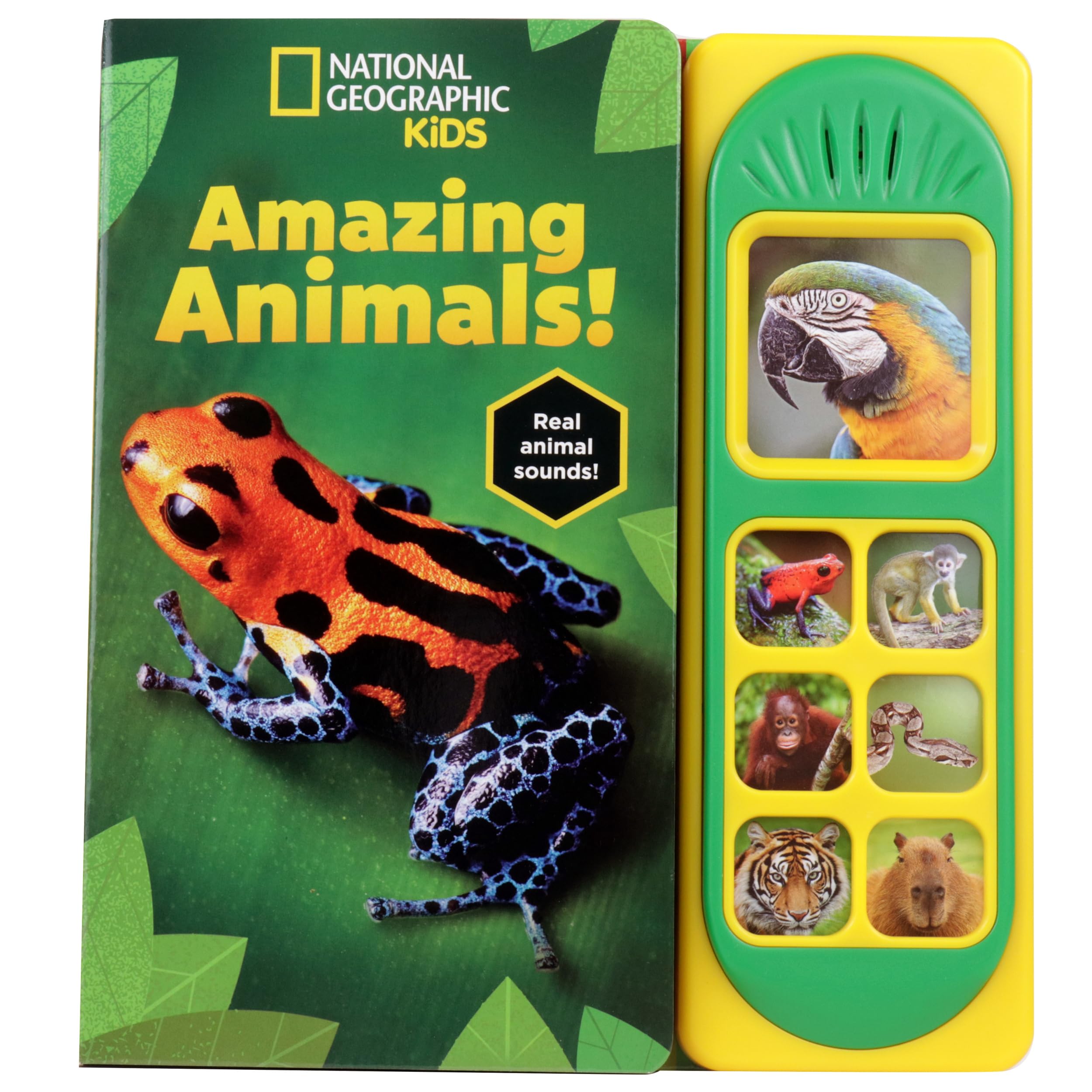 National Geographic Kids: Amazing Animals! Sound Book Non-fiction