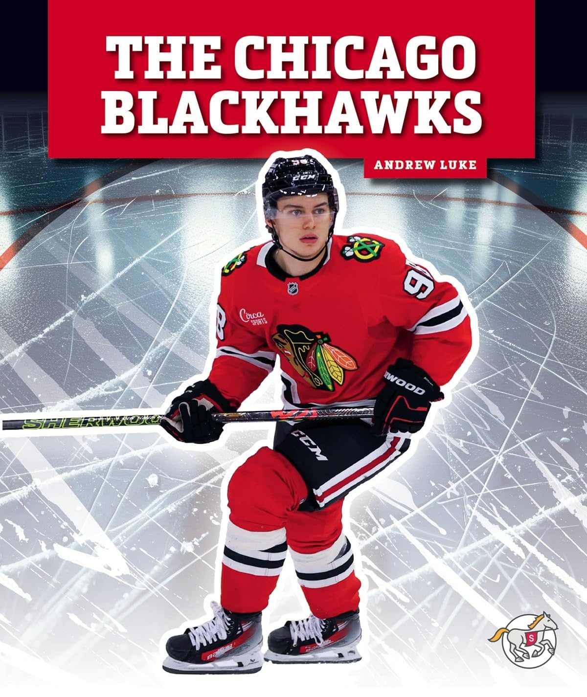 The Chicago Blackhawks (Professional Hockey Teams) Leisure & Fun