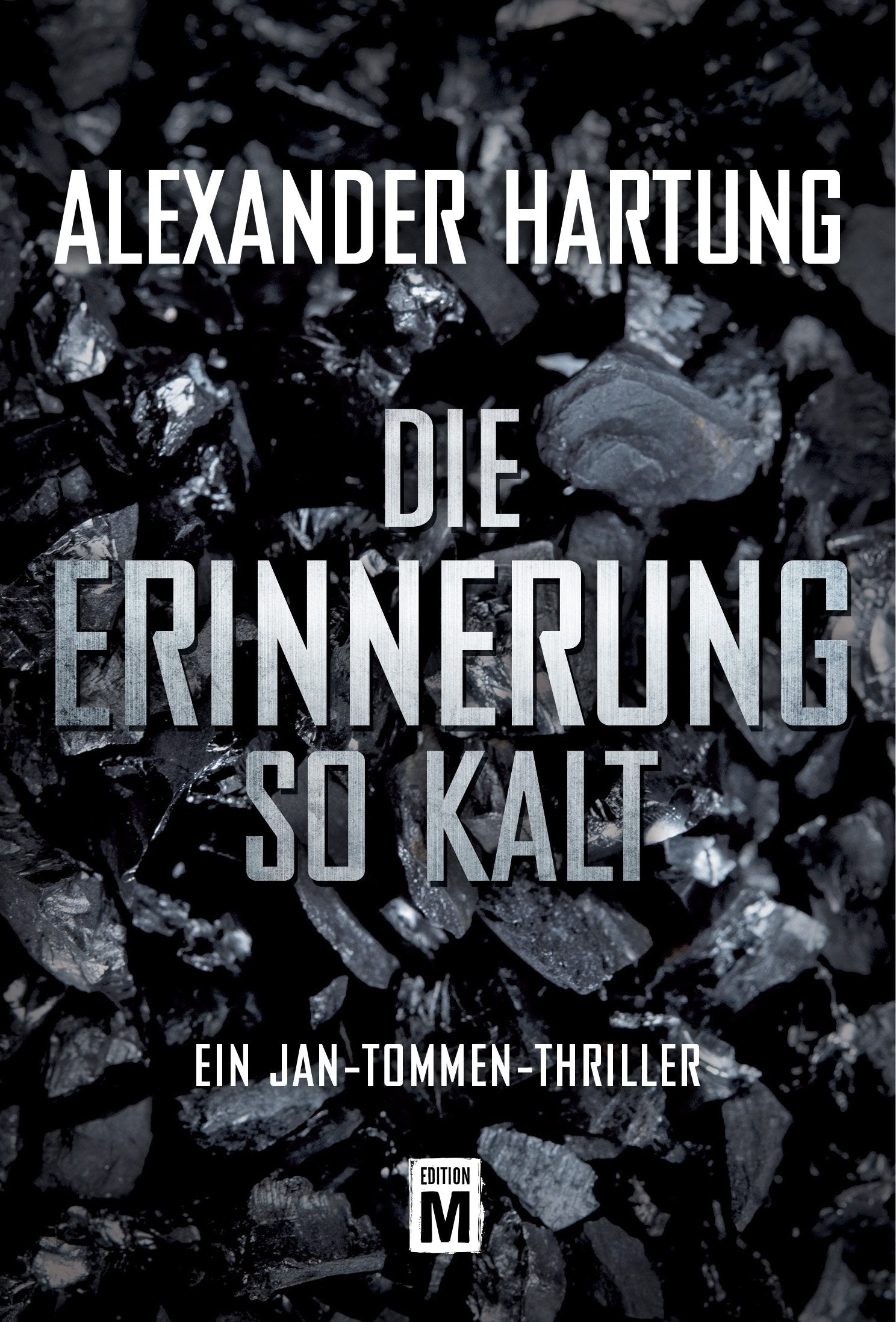 Die Erinnerung so kalt (Ein Jan-Tommen-Thriller, Band 4) Contemporary literature