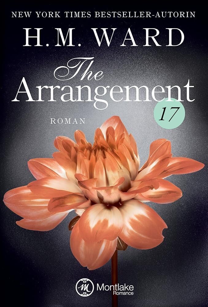 The Arrangement 17 (Die Familie Ferro, Band 17) Contemporary literature