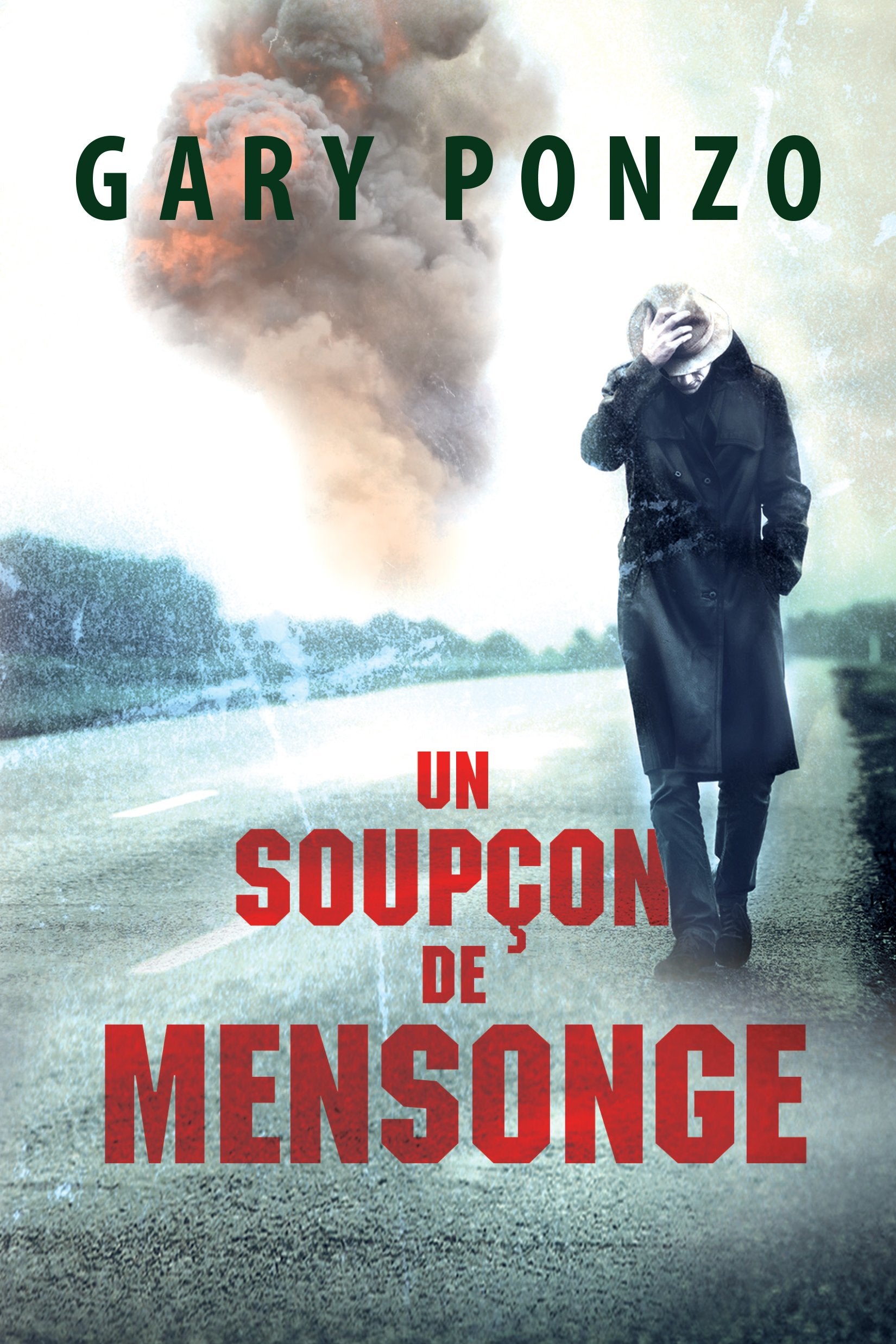 Un soupçon de mensonge (Les enquêtes de Nick Bracco, Band 1) Contemporary literature